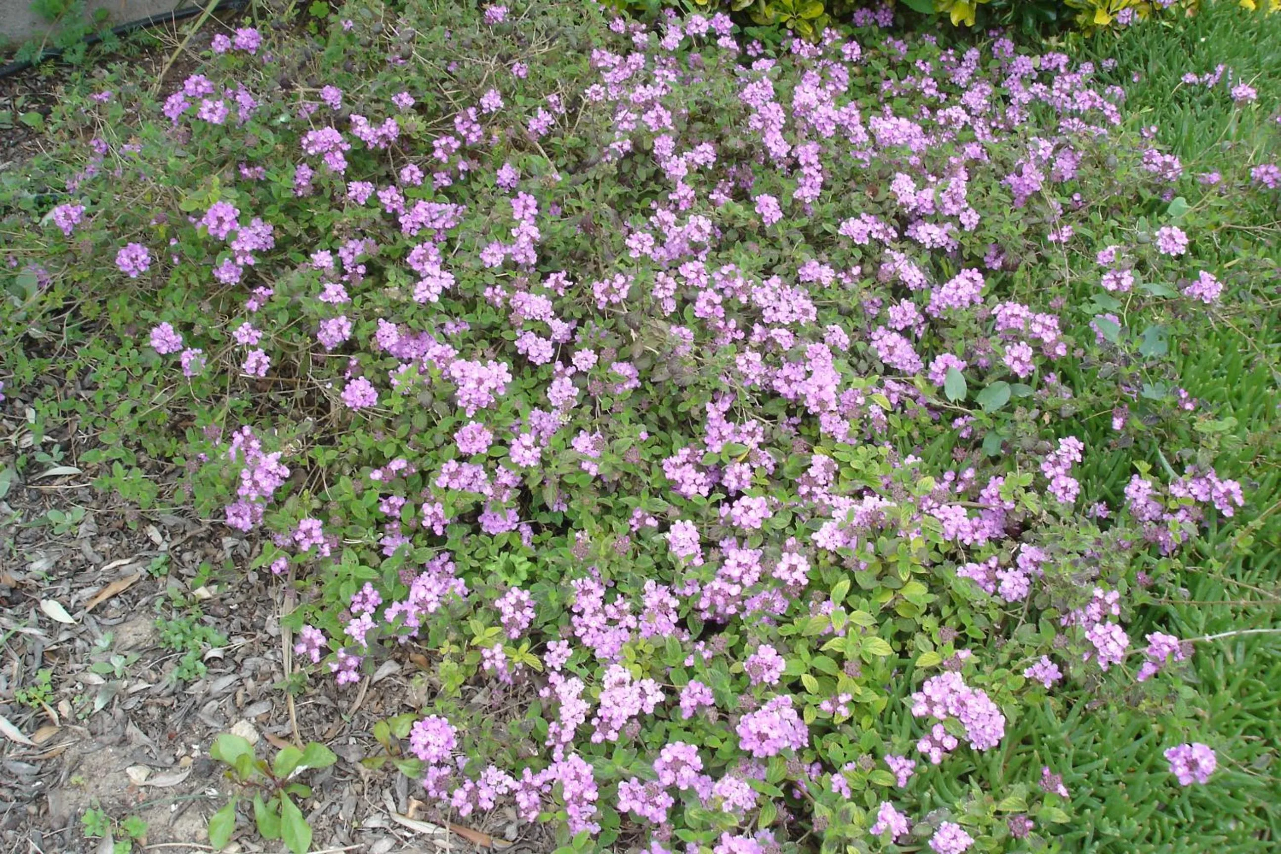 Property building in Mer et Soleil