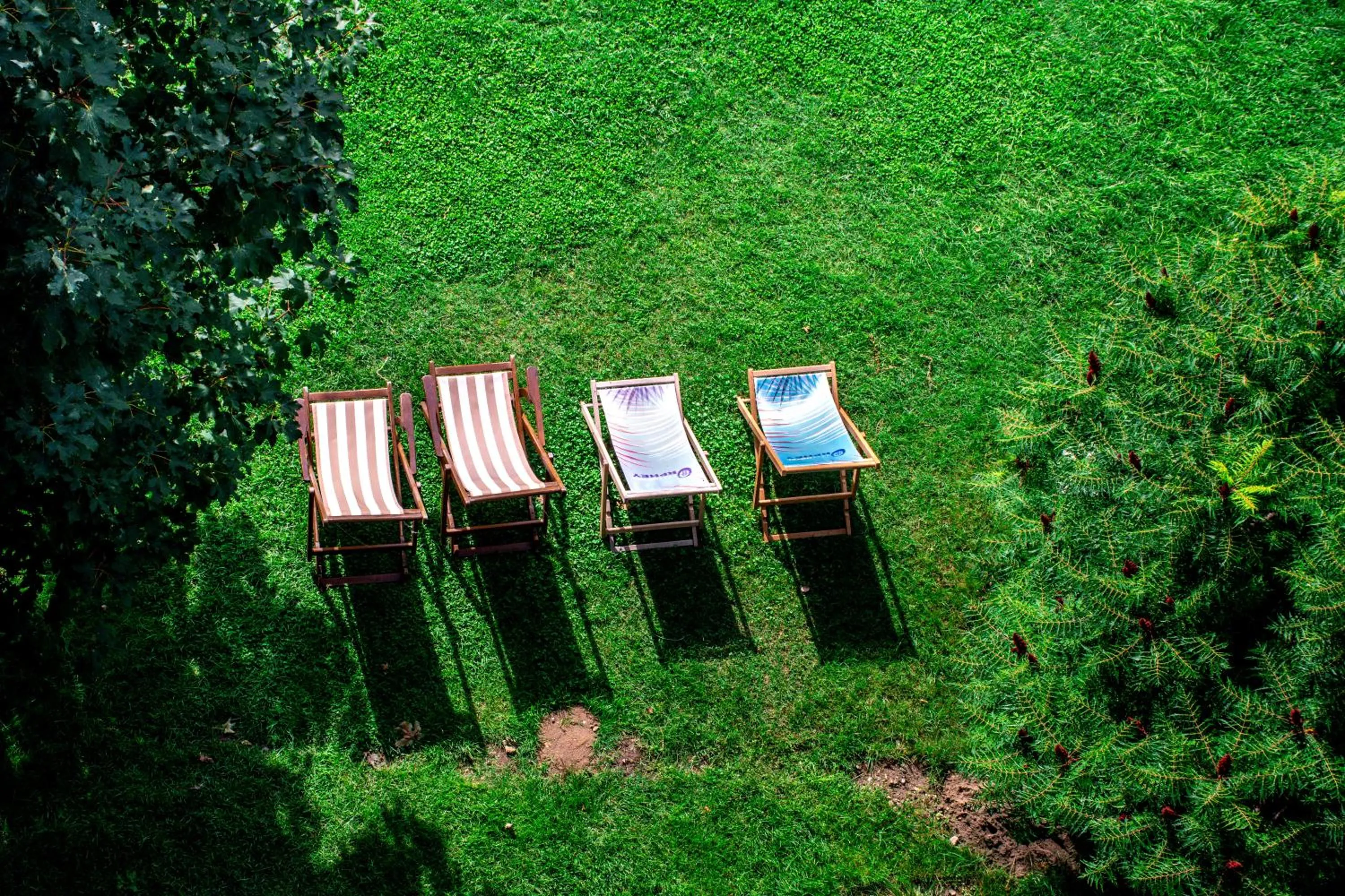 Garden in Hotel Orphey