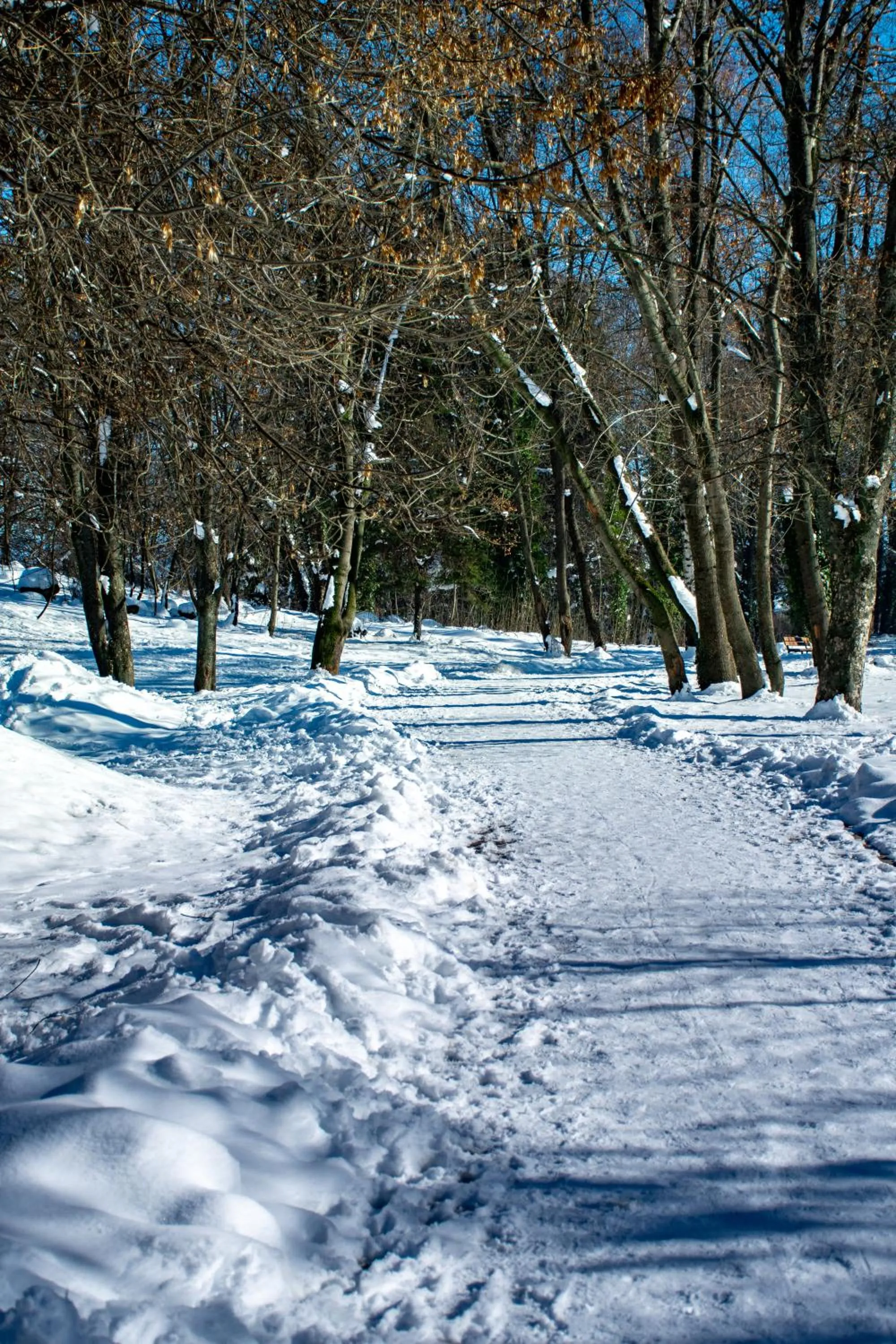 Natural landscape in Hotel Orphey