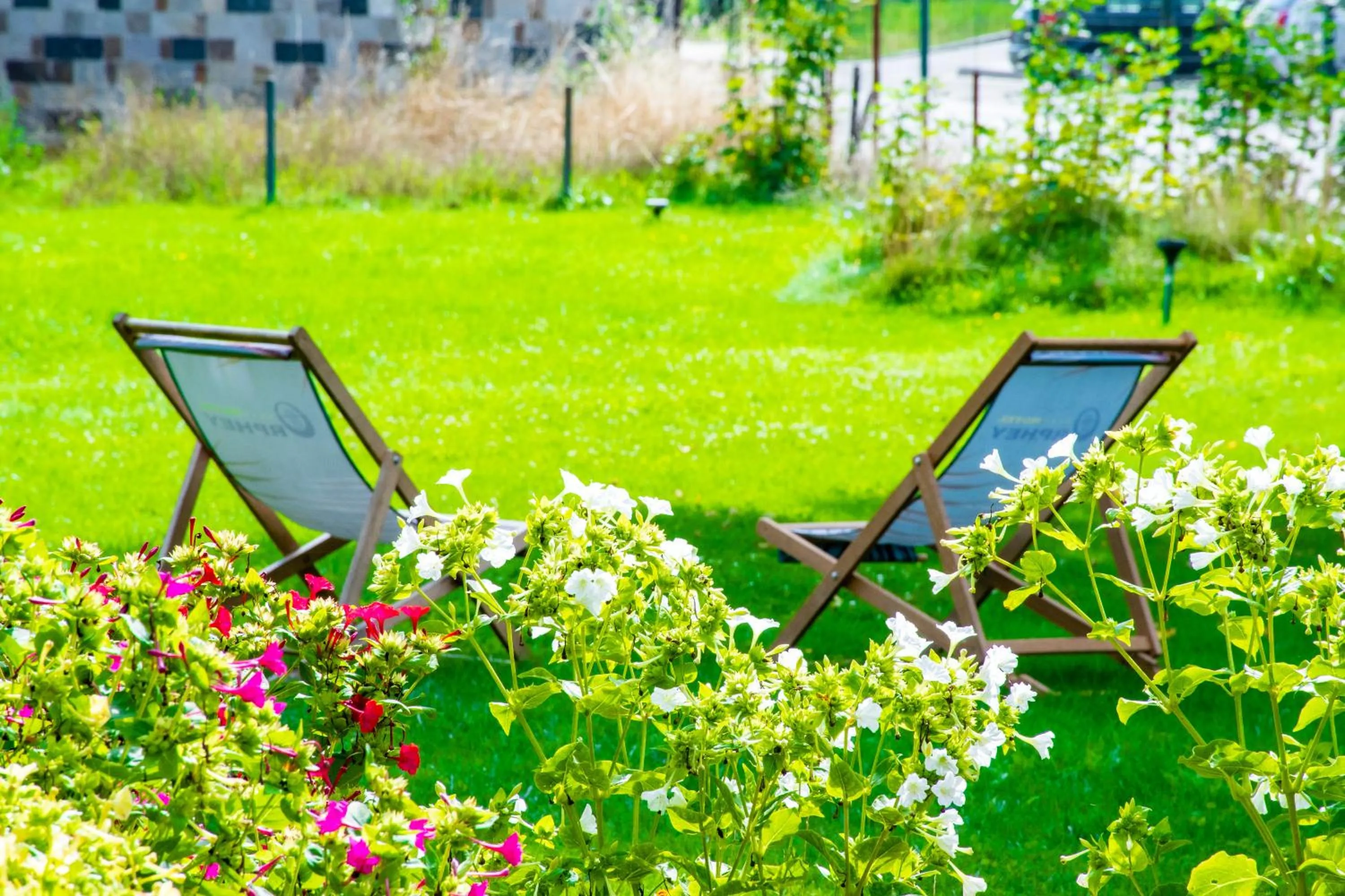 Natural landscape in Hotel Orphey