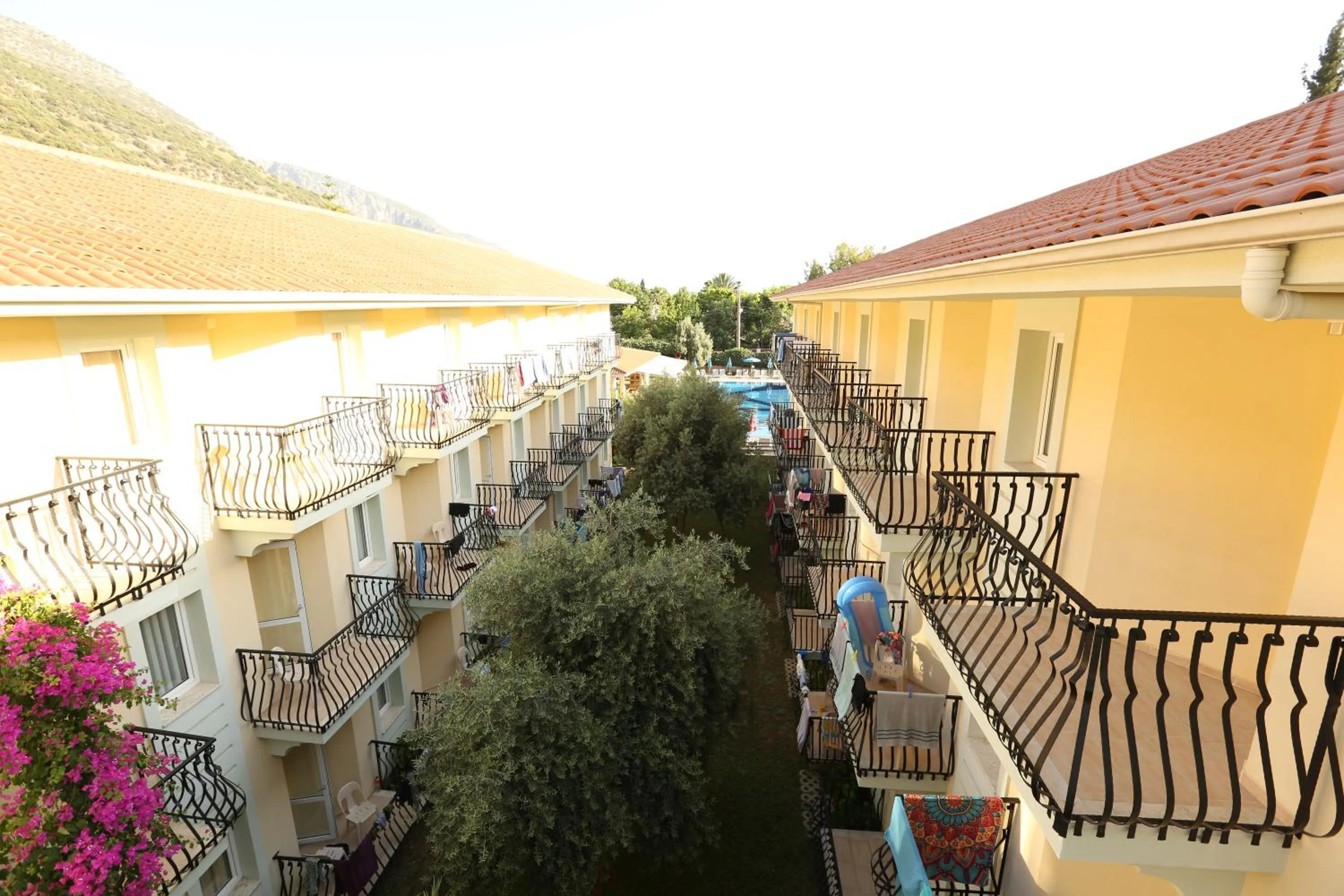 Garden view in Mavruka Hotel