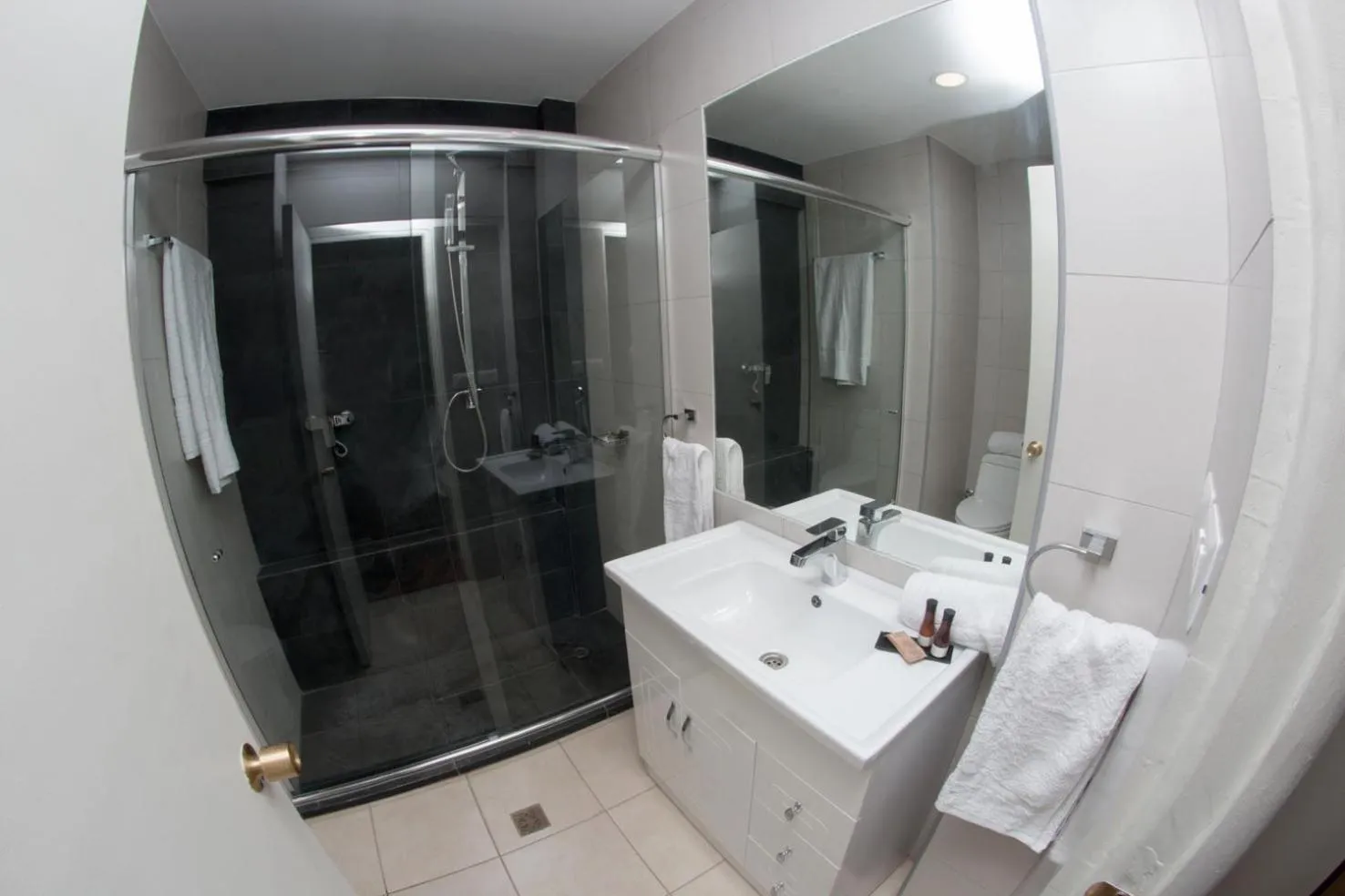 Shower in Hotel Plaza Ñuñoa