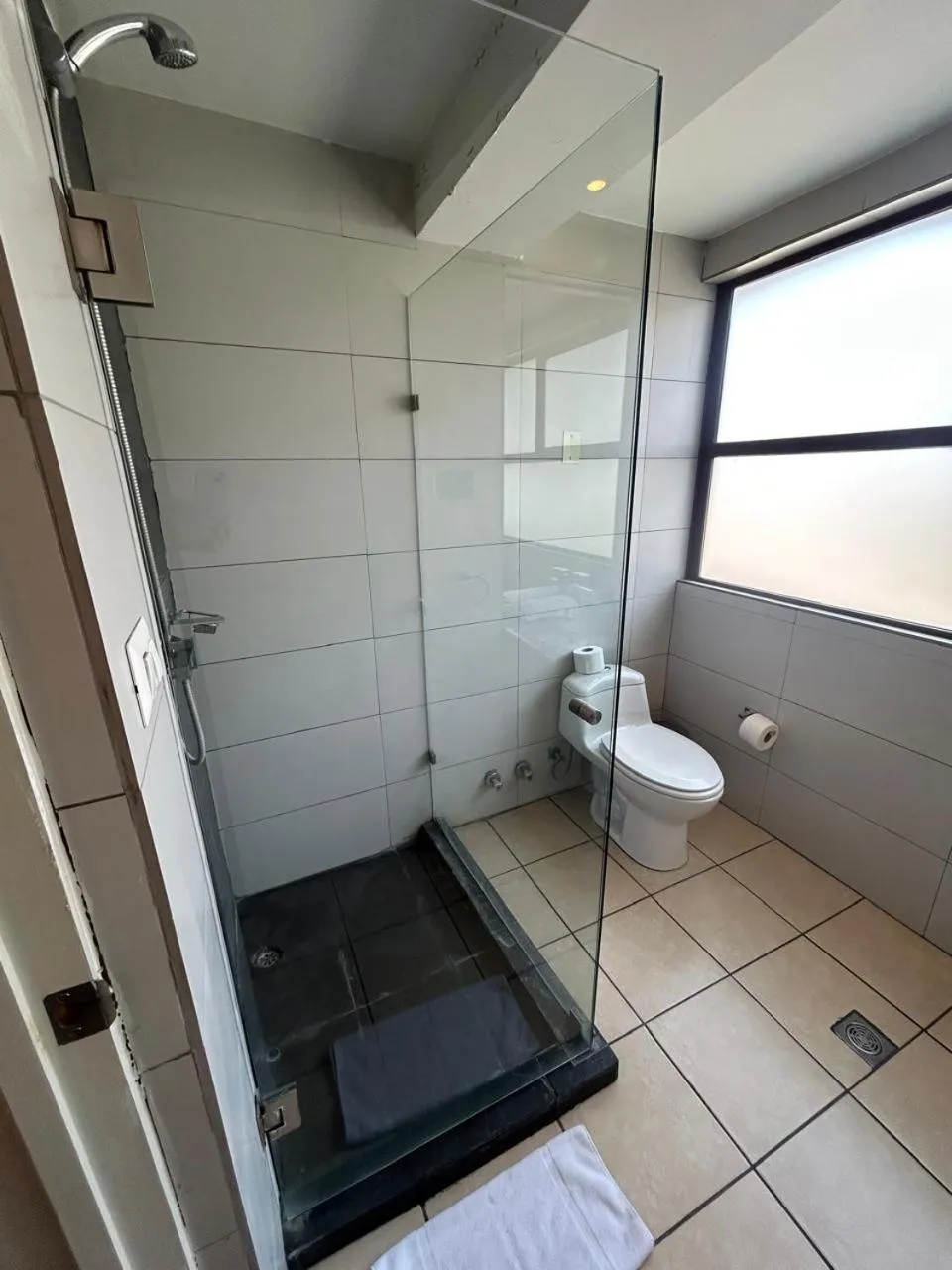 Shower in Hotel Plaza Ñuñoa