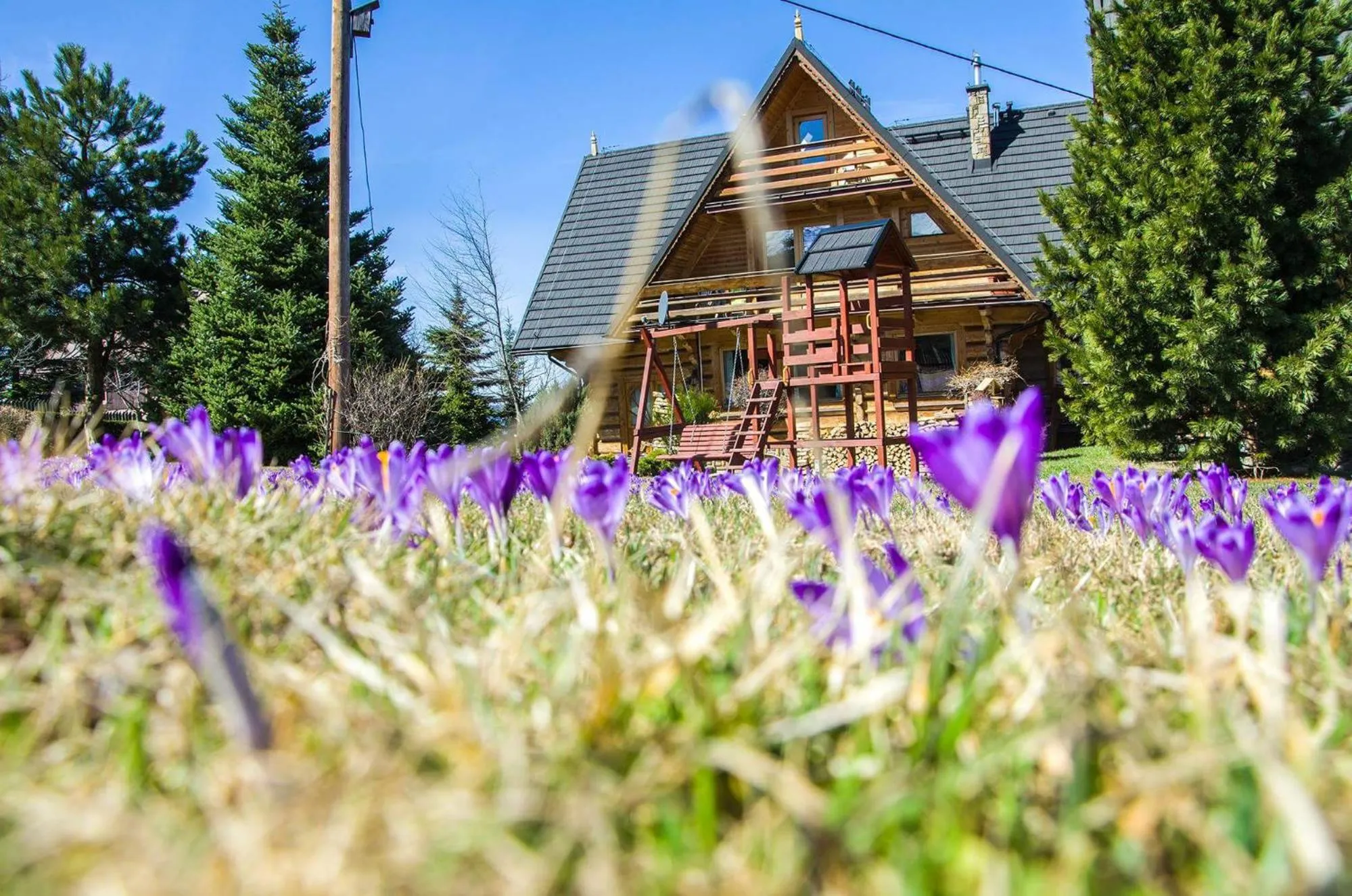 Garden view in Willa Koisowka
