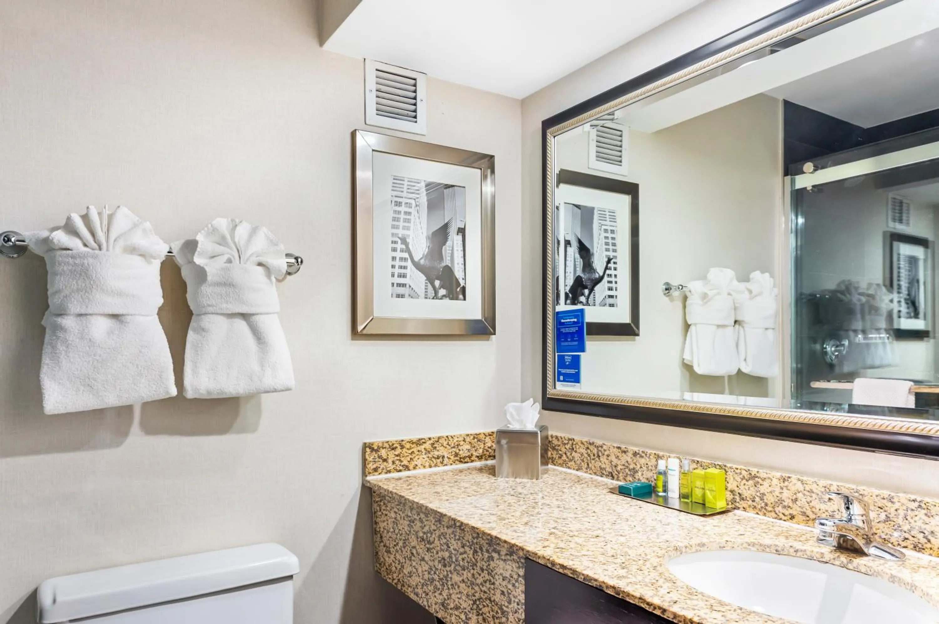 Bathroom in DoubleTree by Hilton Roseville Minneapolis