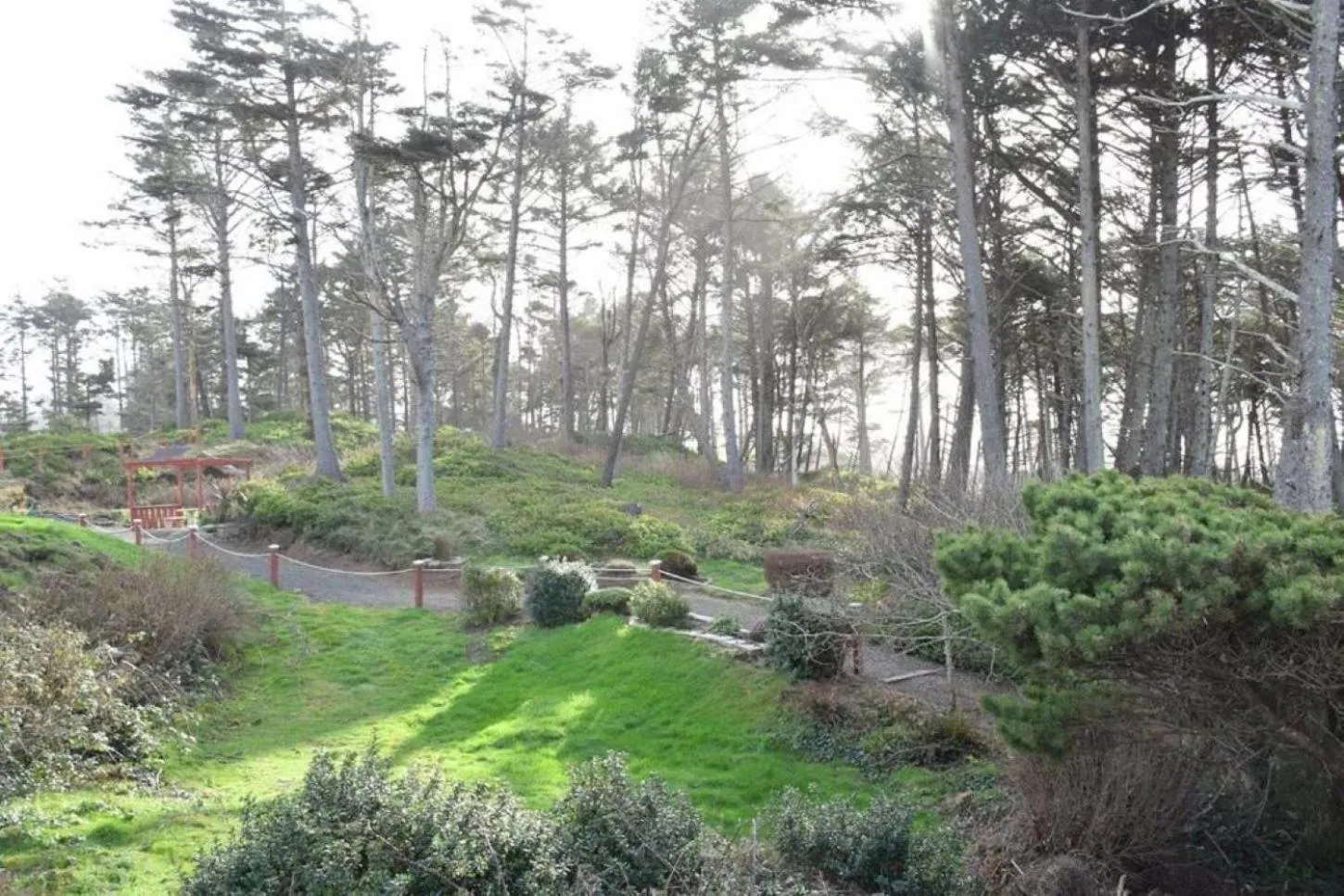 Natural landscape in Schooner Landing