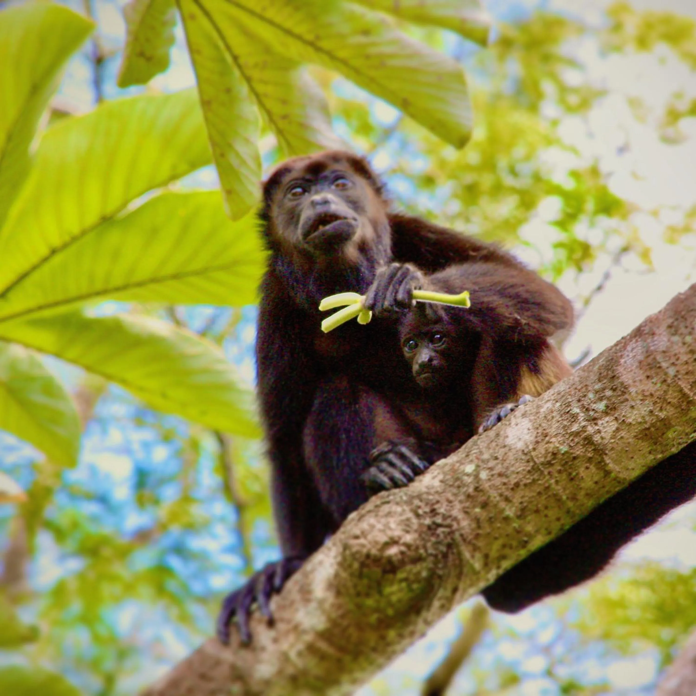 Spring in Surfside Mar Y Posa