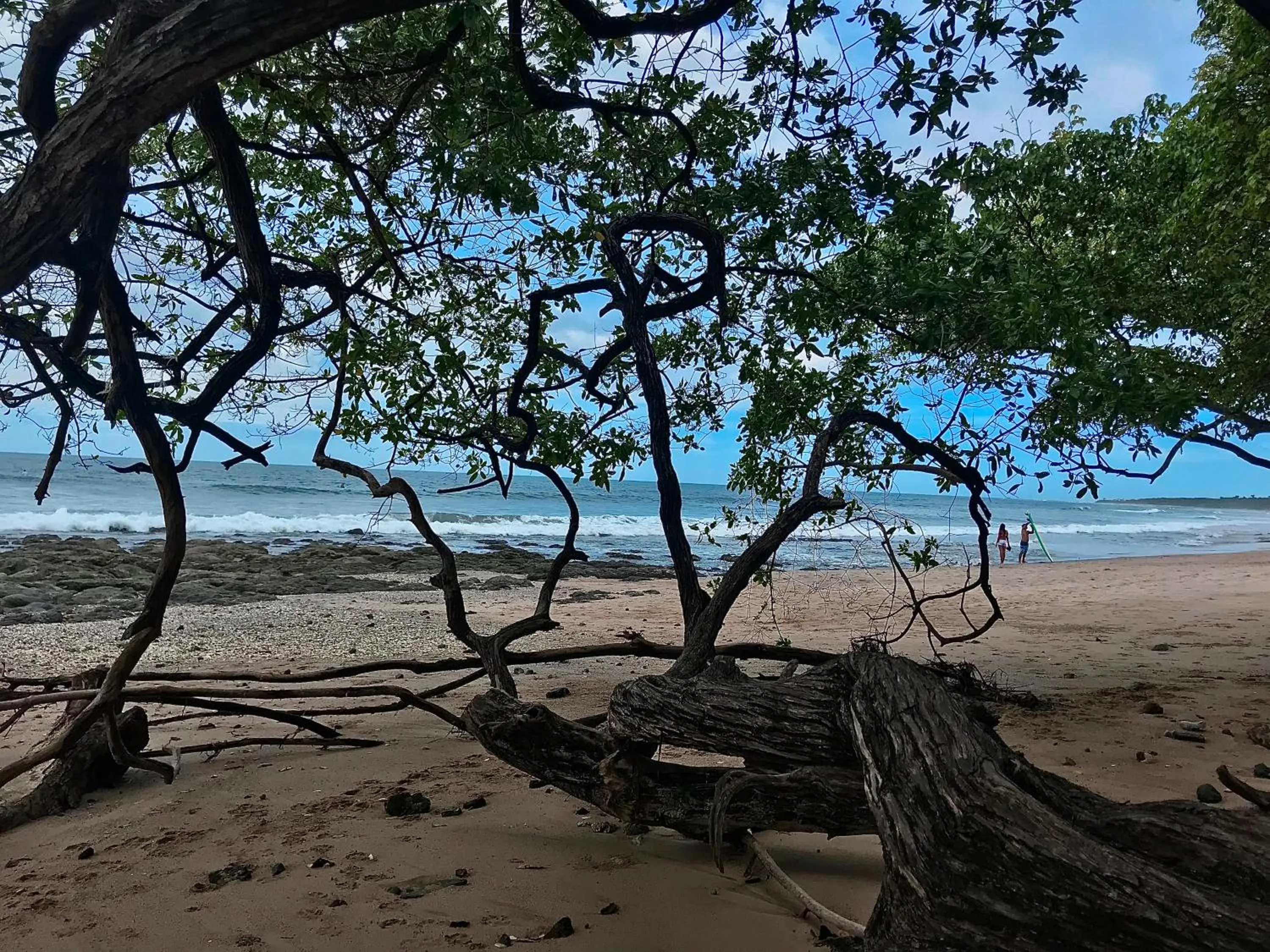 Natural landscape in Surfside Mar Y Posa