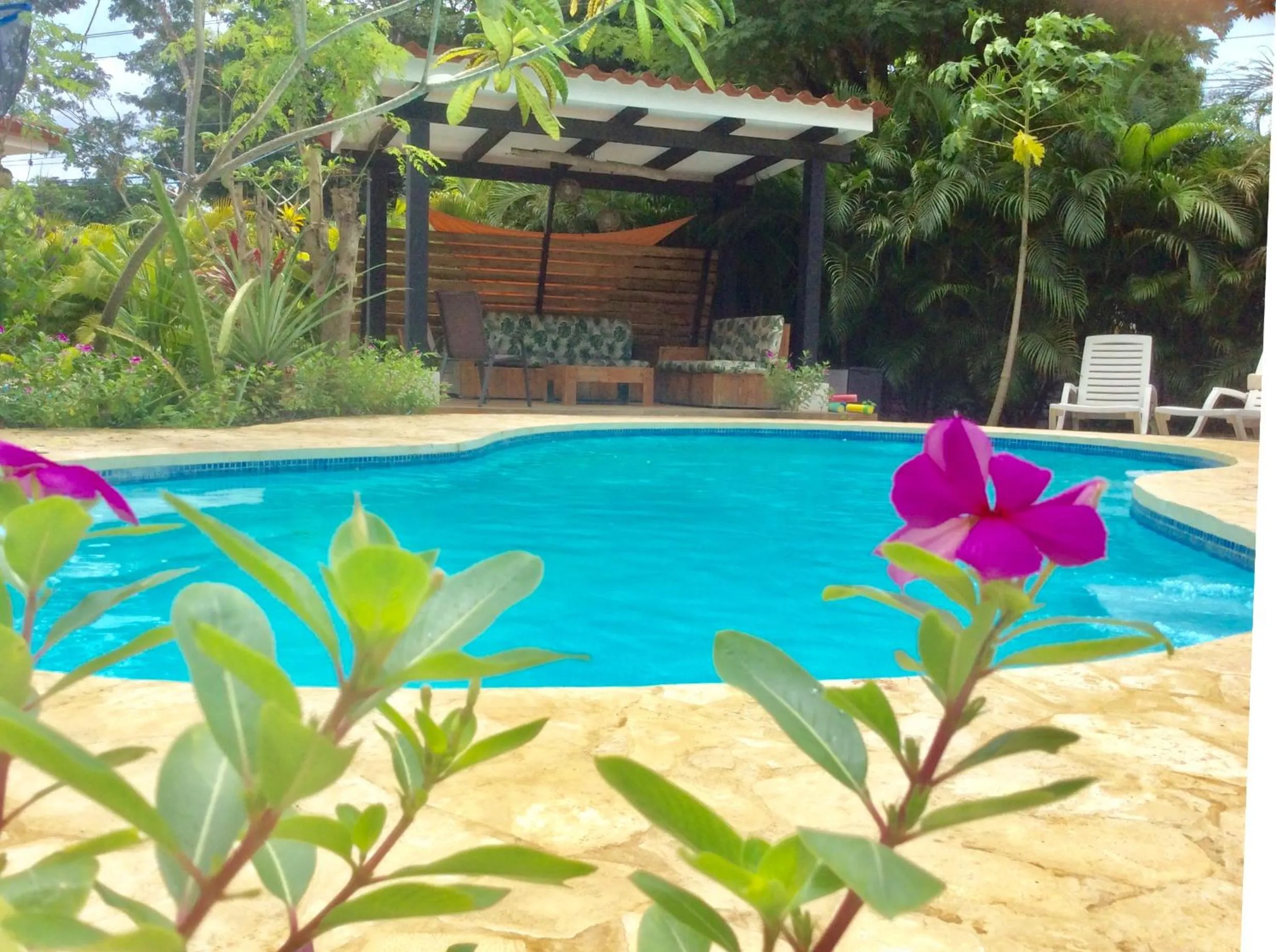 Balcony/Terrace in Surfside Mar Y Posa