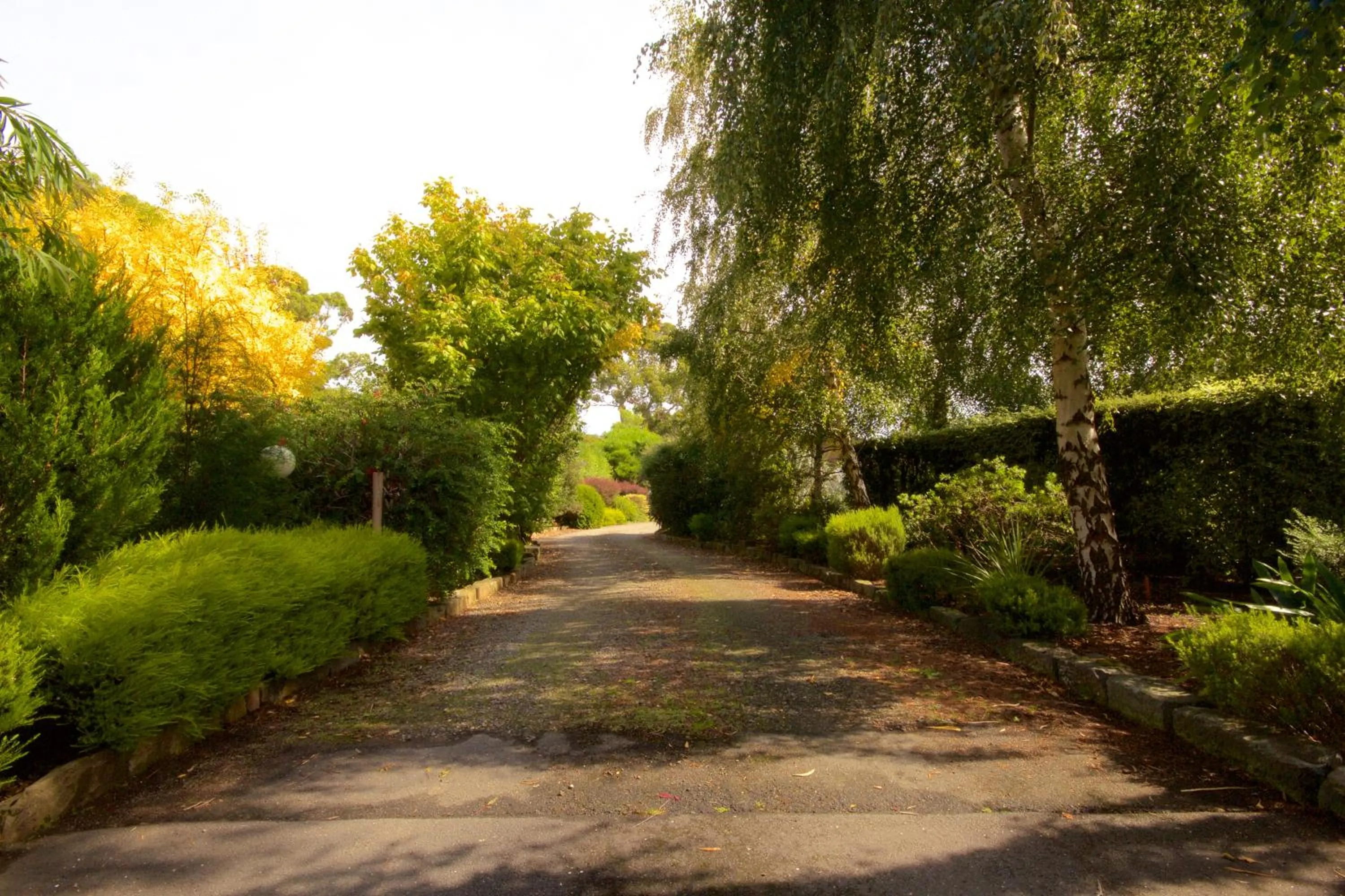 Garden in Abs by the Bay