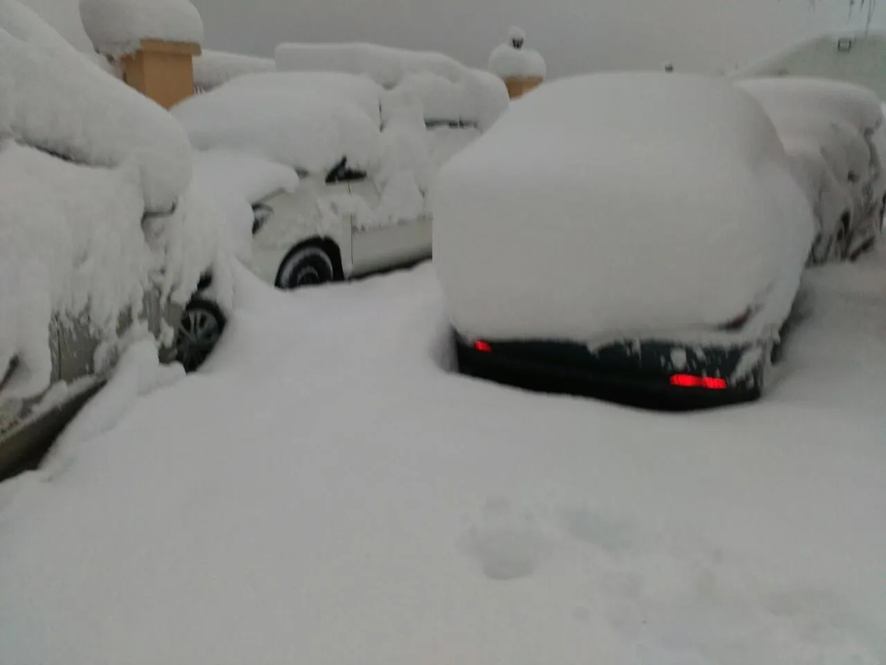 Winter in Toshali Royal View ,S H I M L A