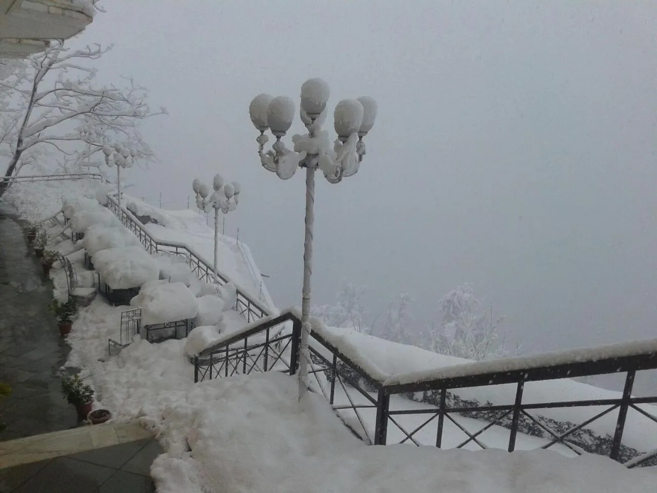 Natural landscape in Toshali Royal View ,S H I M L A