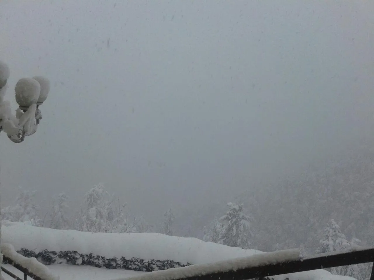 Winter in Toshali Royal View ,S H I M L A