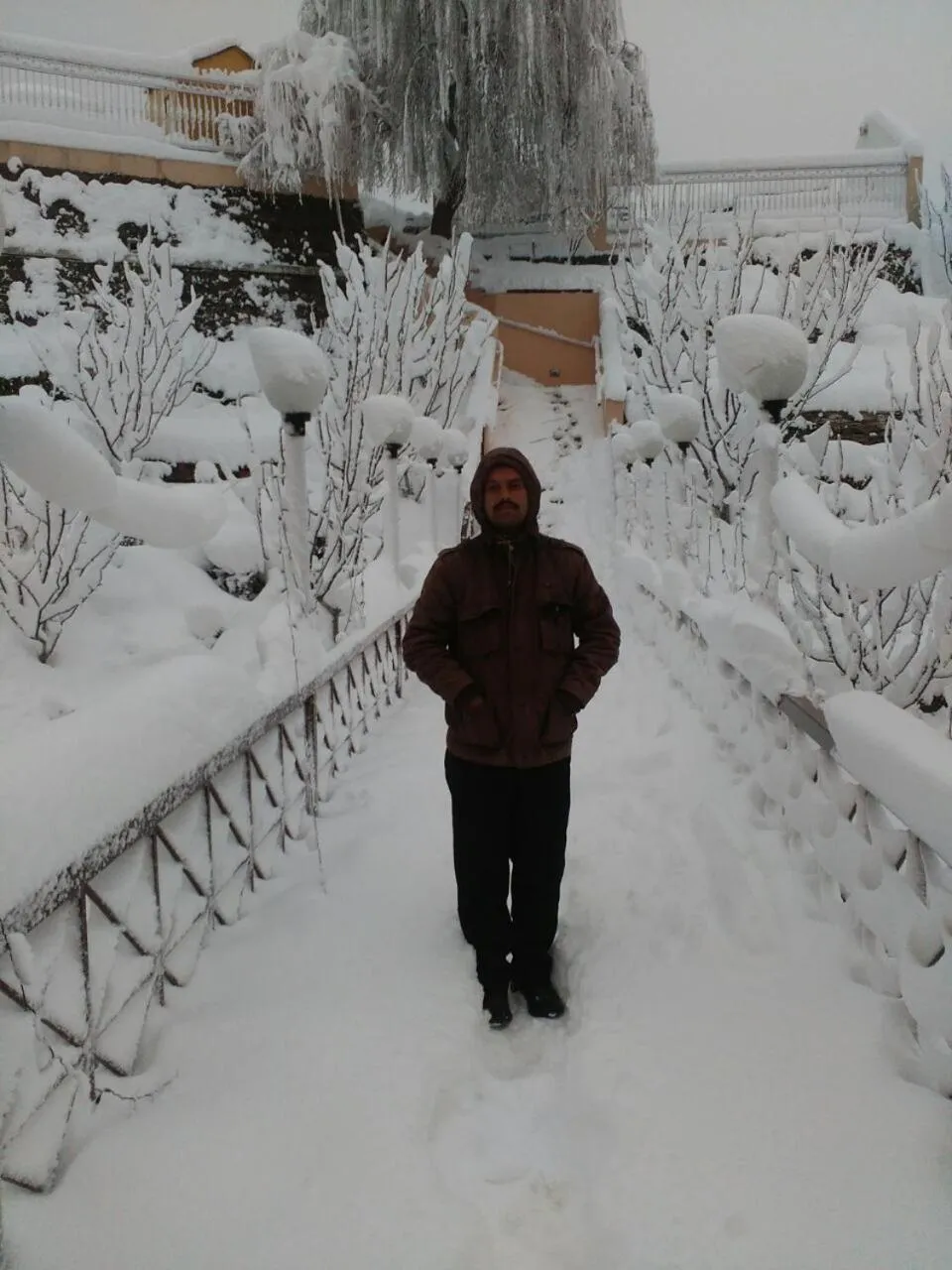 Natural landscape in Toshali Royal View ,S H I M L A