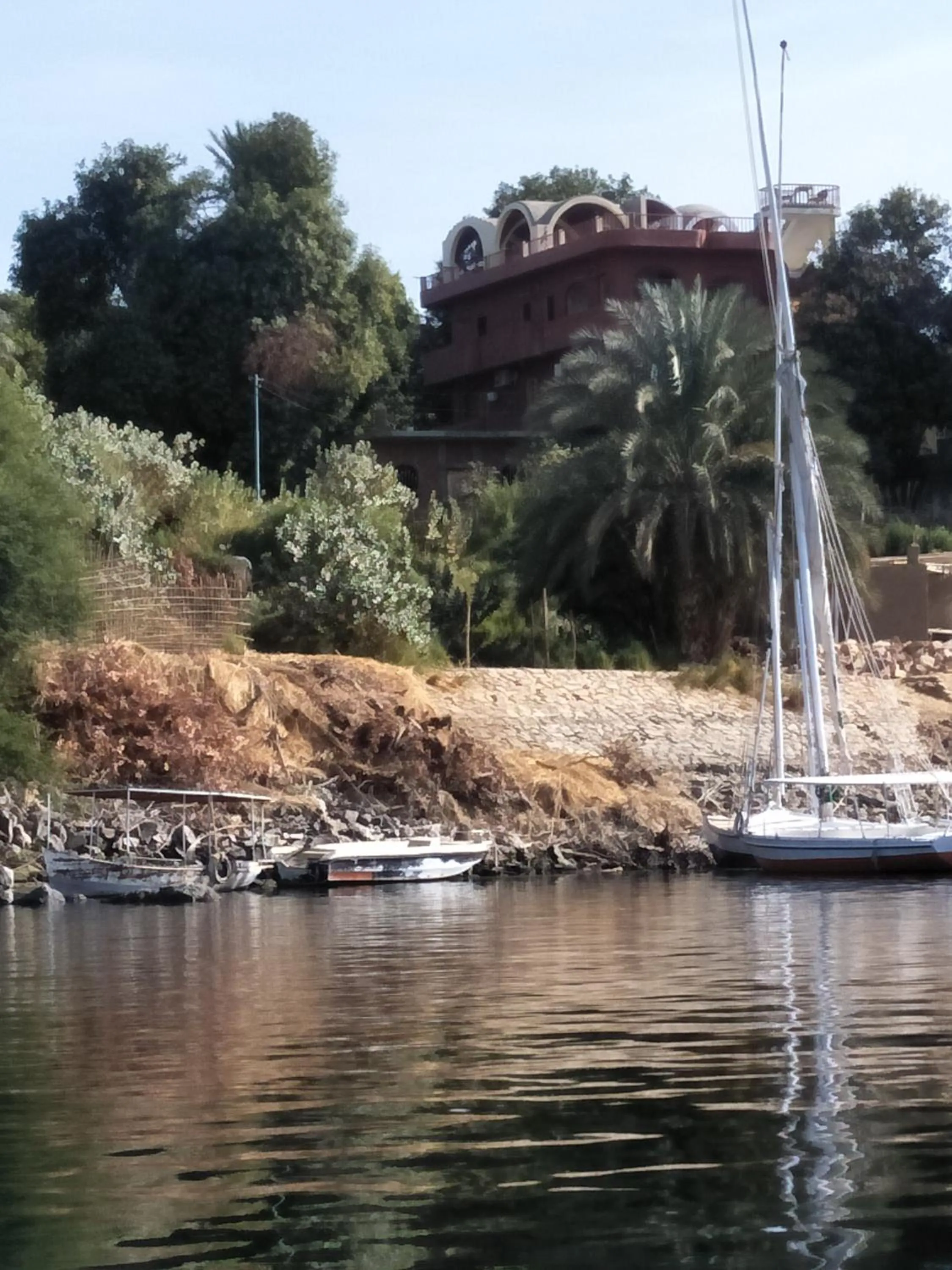 El Prince Guesthouse