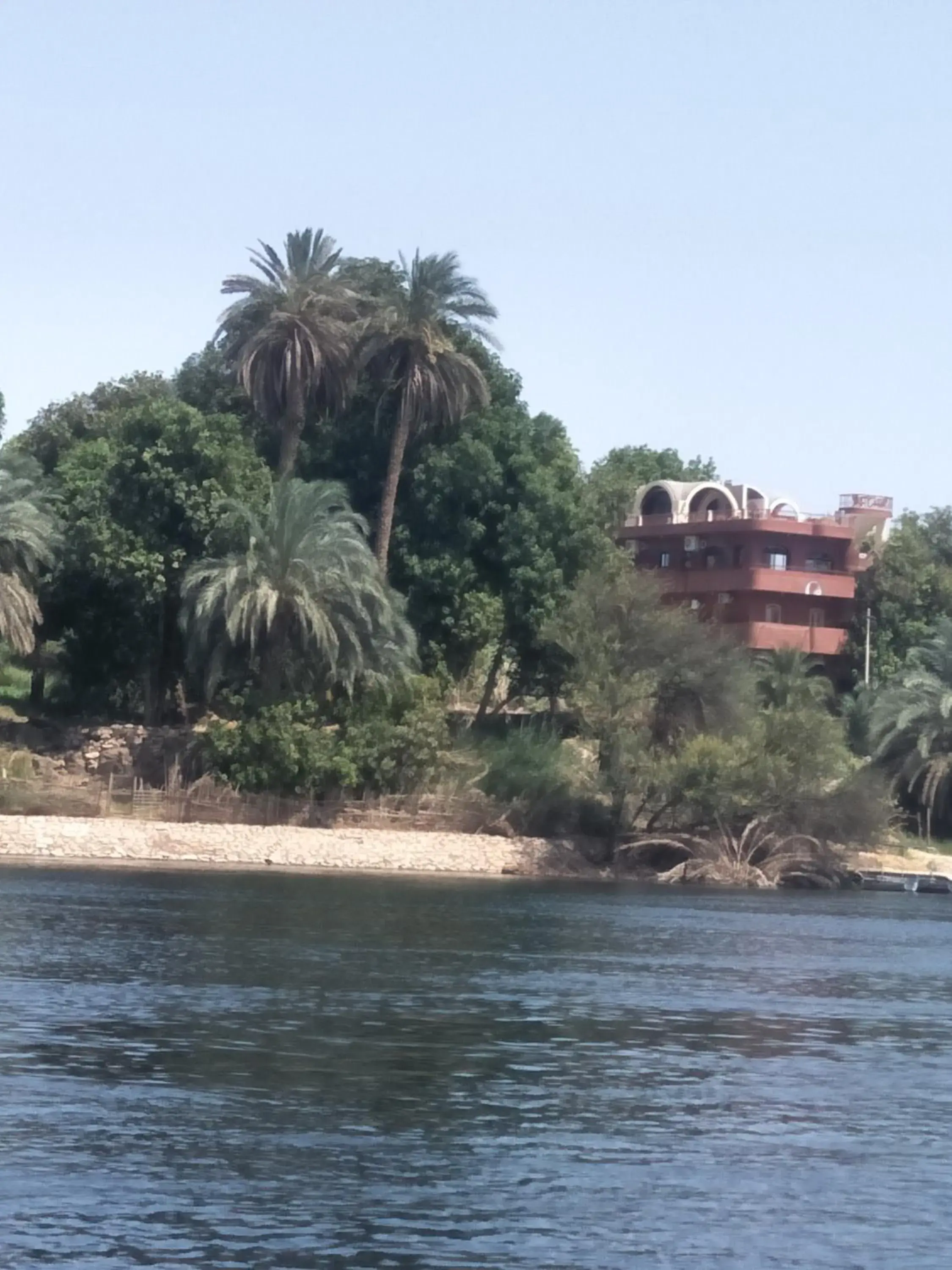 Double Room in El Prince Guesthouse Double Room in El Prince Guesthouse