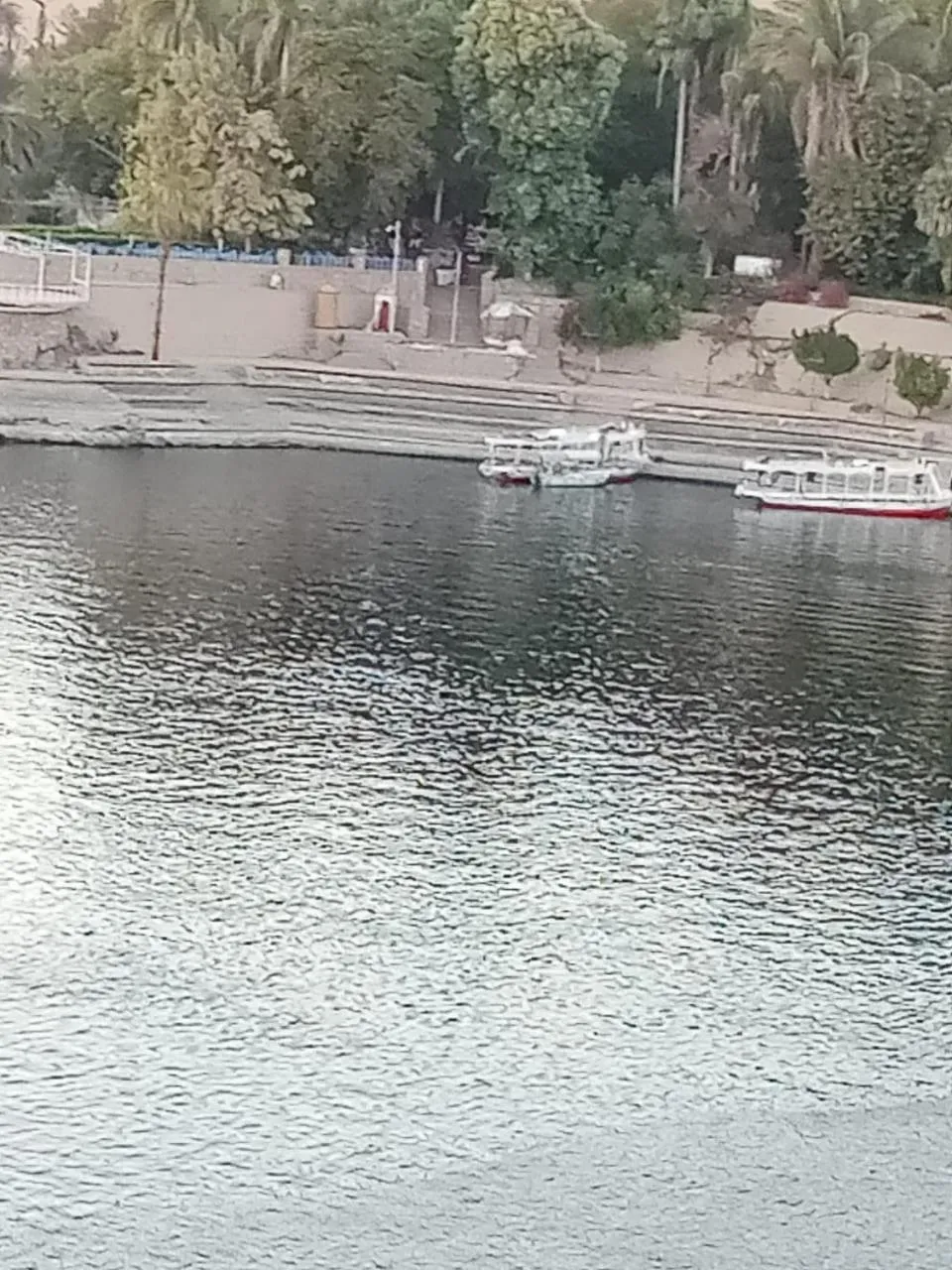 El Prince Guesthouse