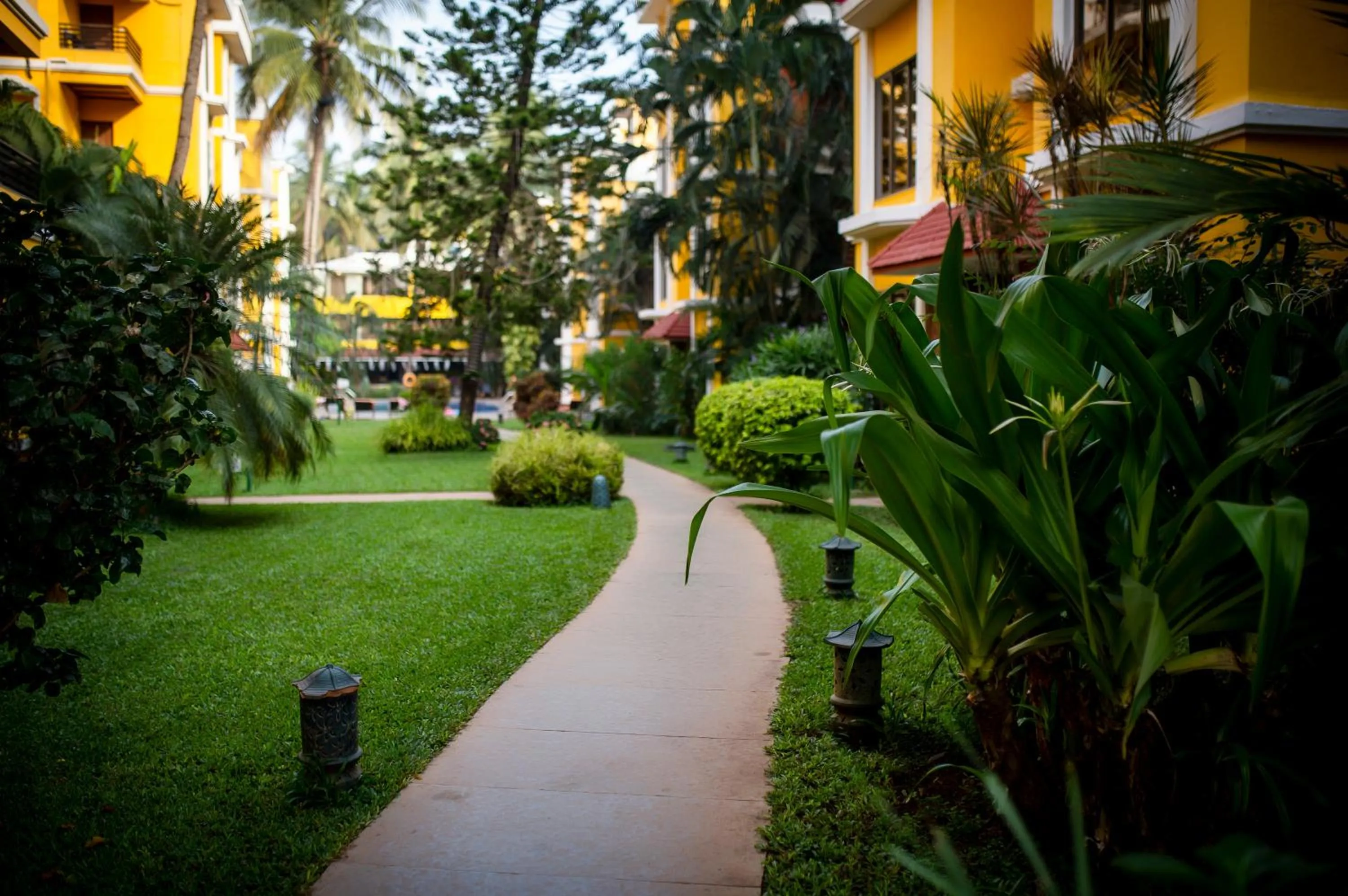 Garden in Adamo The Bellus Calangute