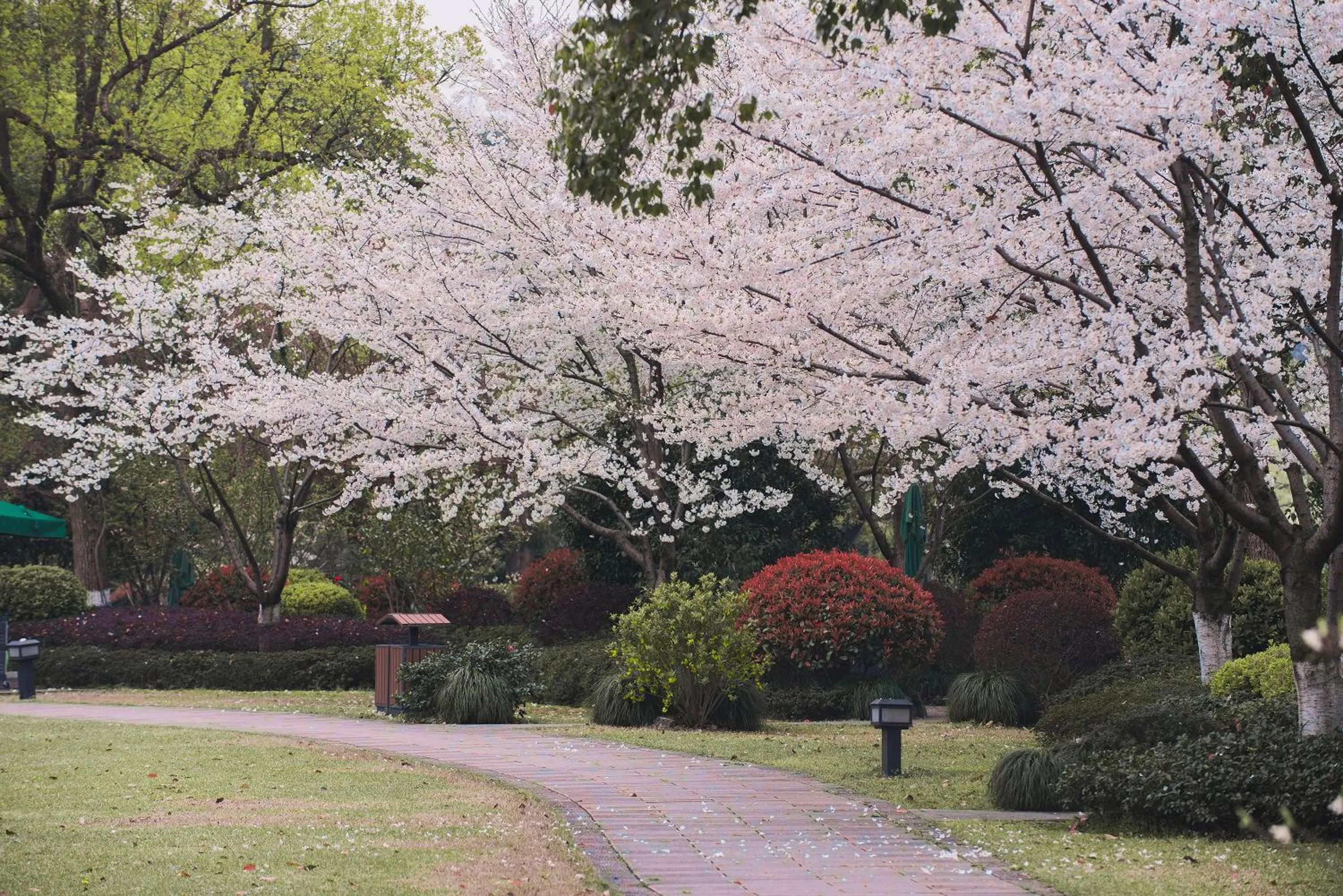 Garden in Zhejiang Xizi Hotel
