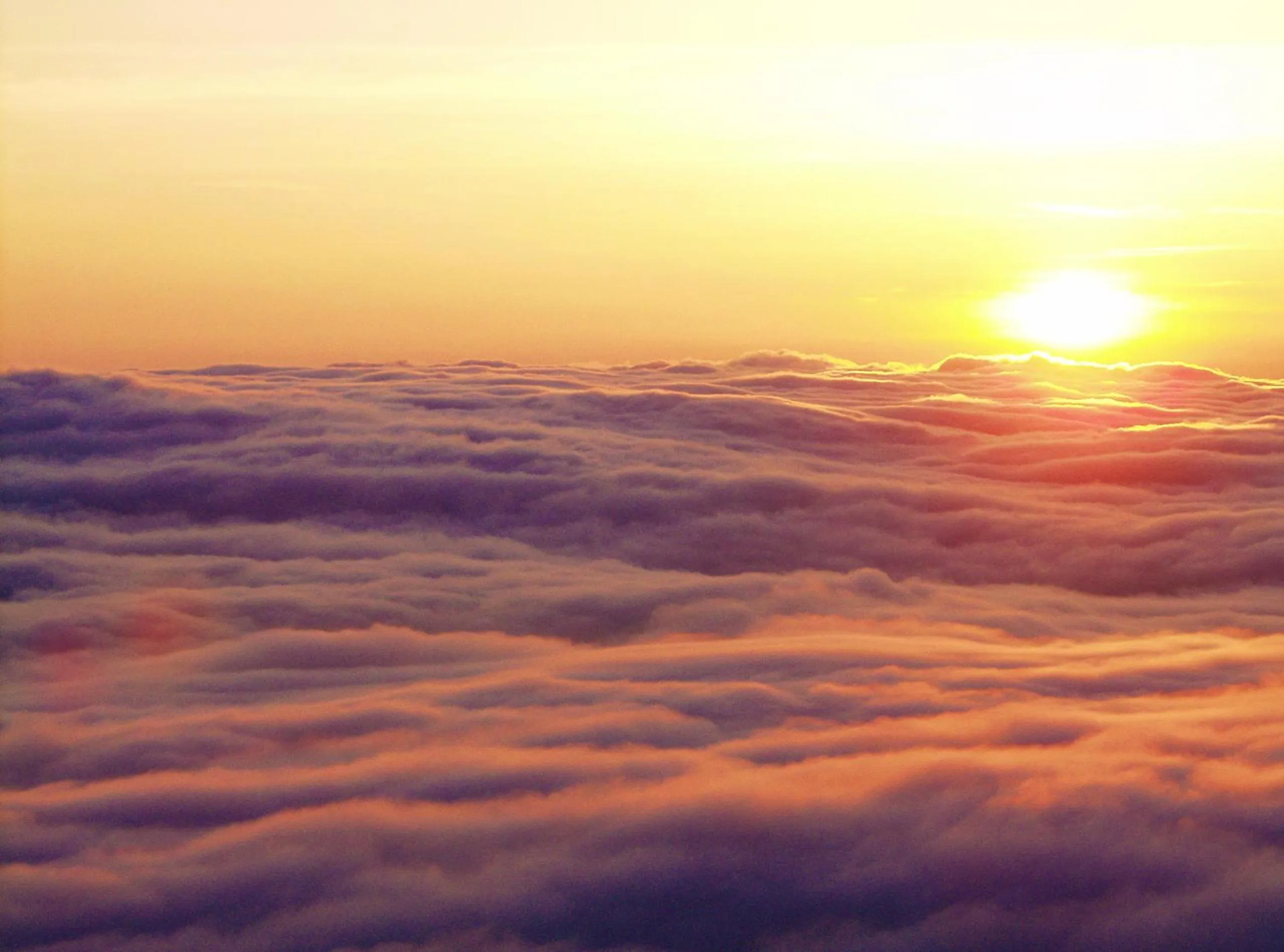 Natural landscape in The Windsor Hotel TOYA Vignette Collection