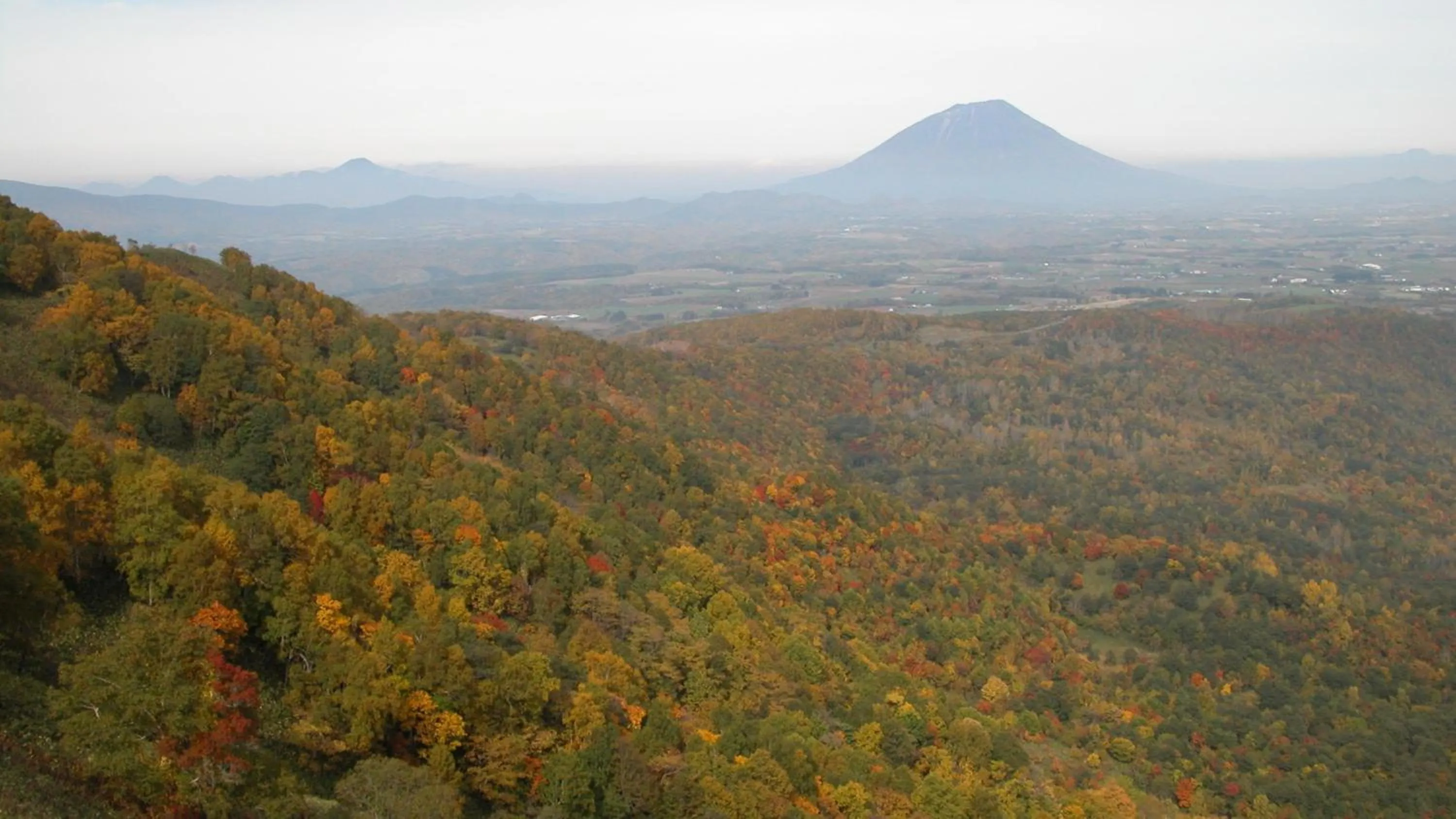 Other in The Windsor Hotel TOYA Vignette Collection