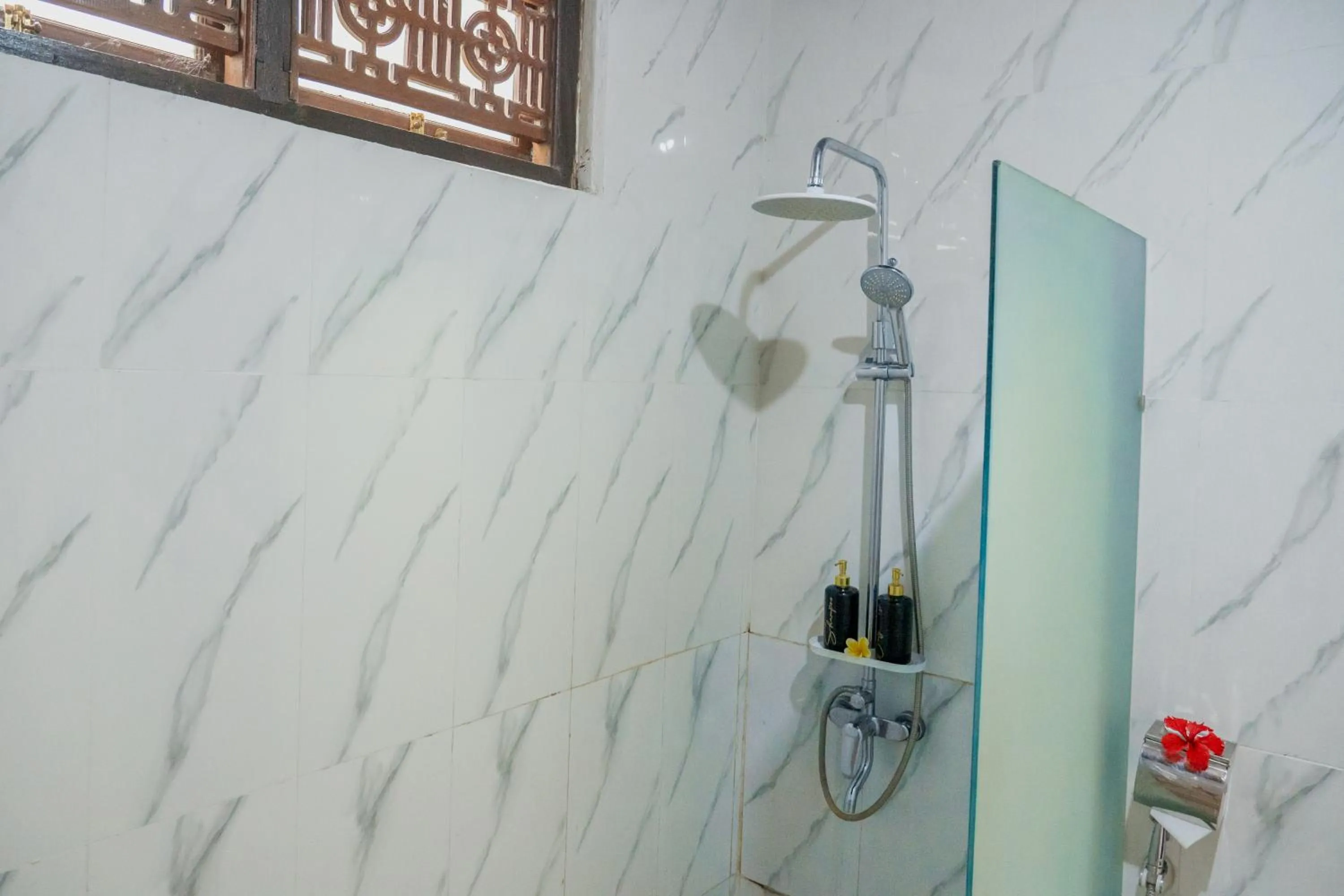 Shower in Nick's Pension