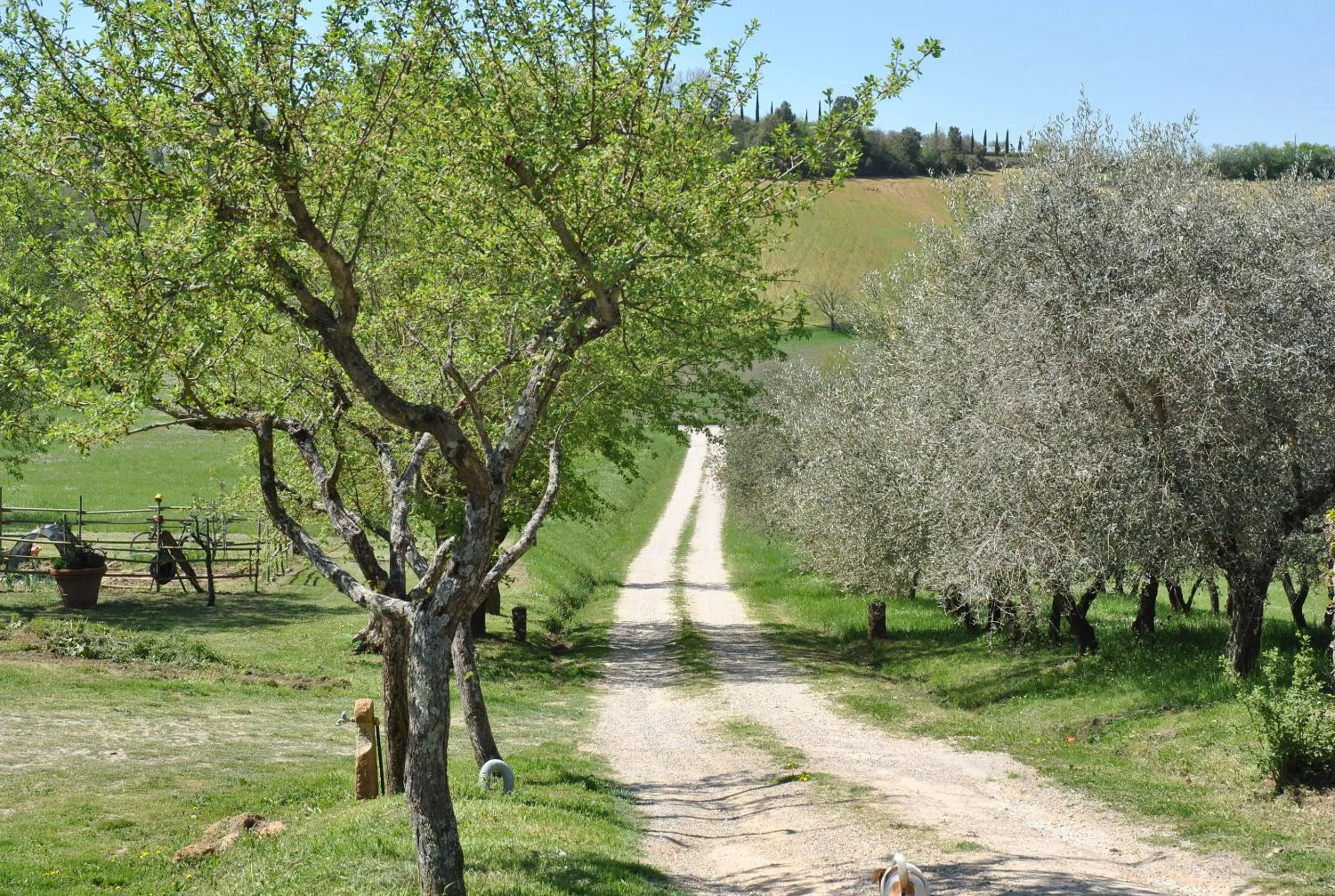 Facade/entrance in Podere La Paolina