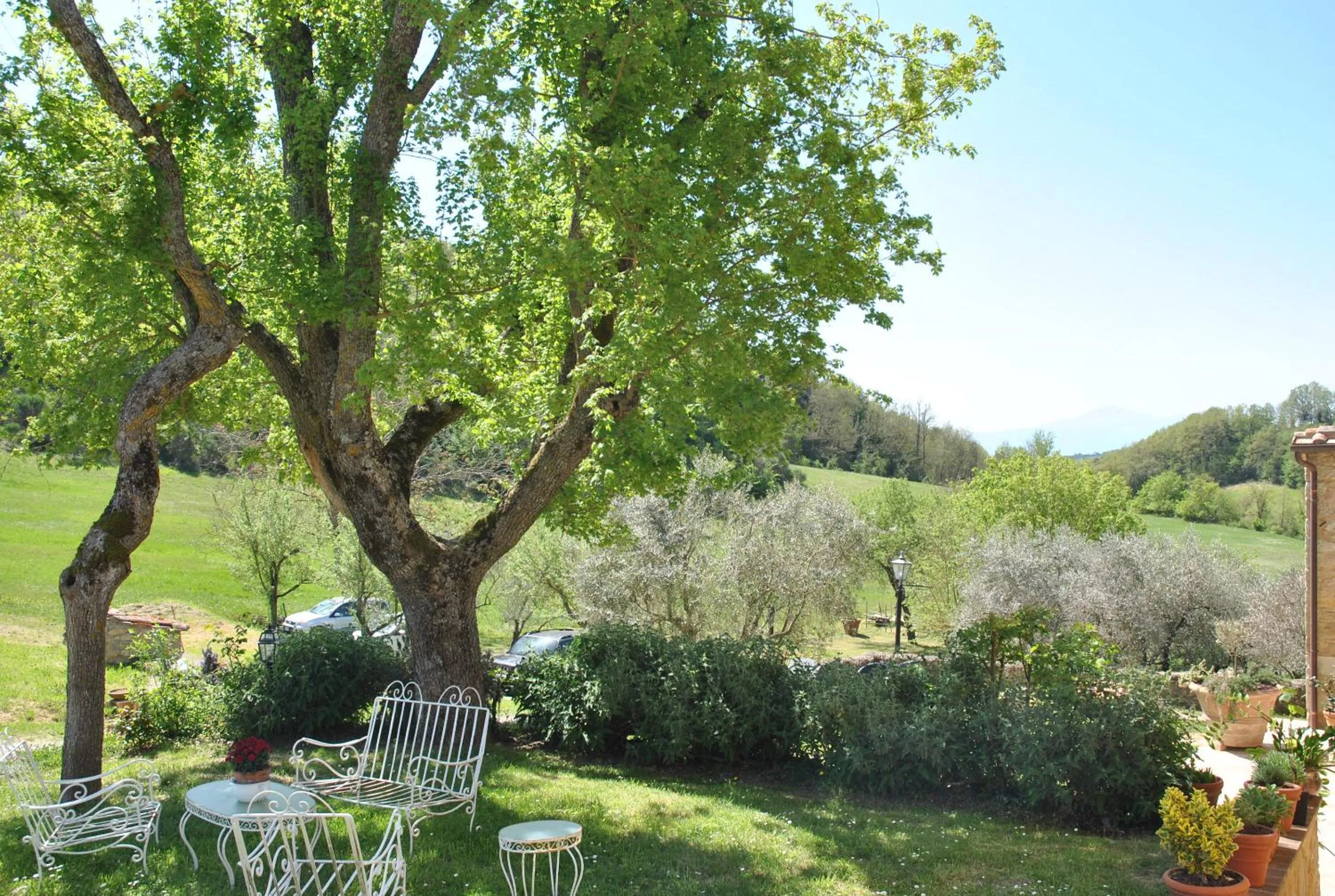 Spring in Podere La Paolina