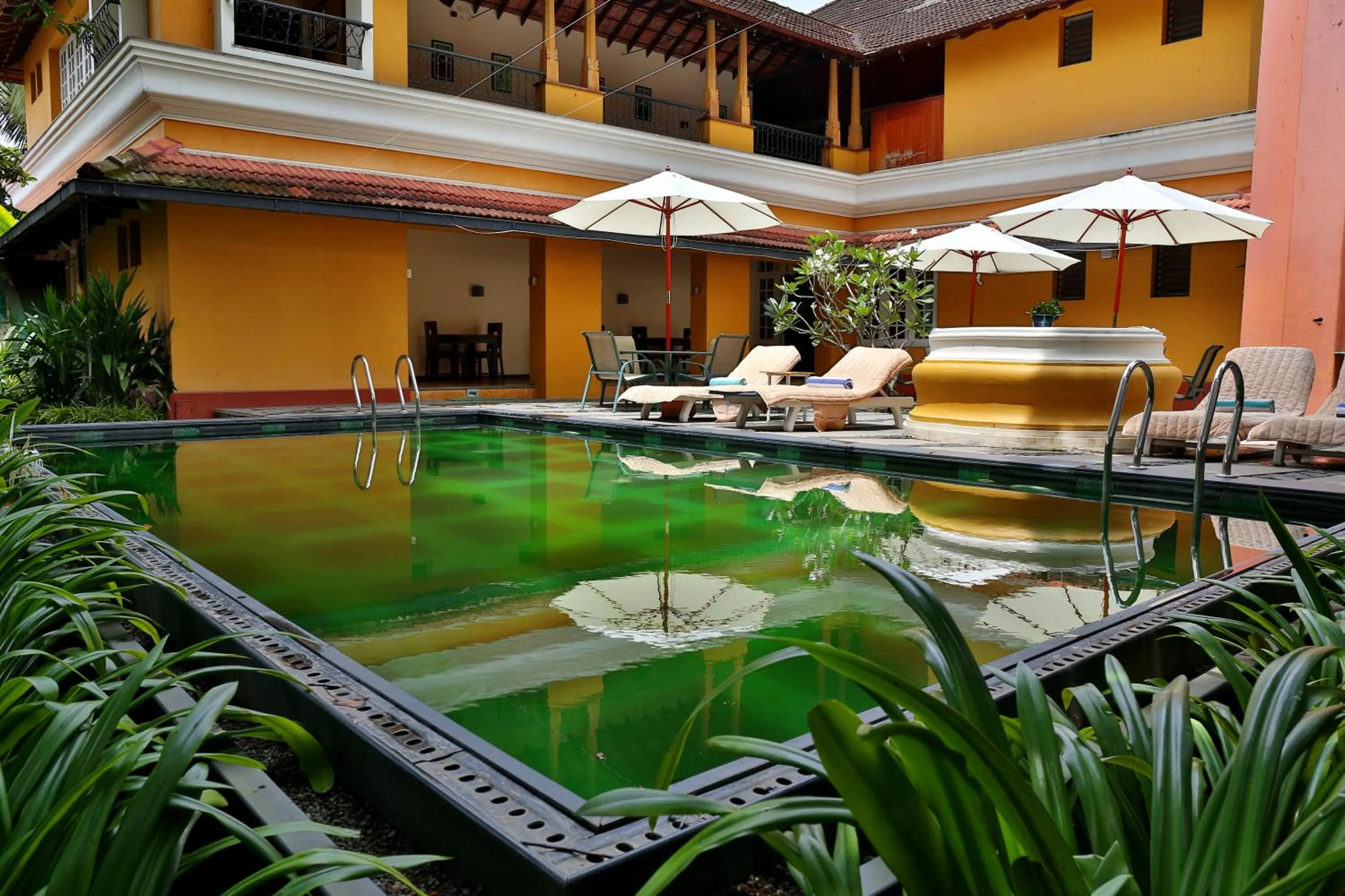 Swimming pool in Tea Bungalow