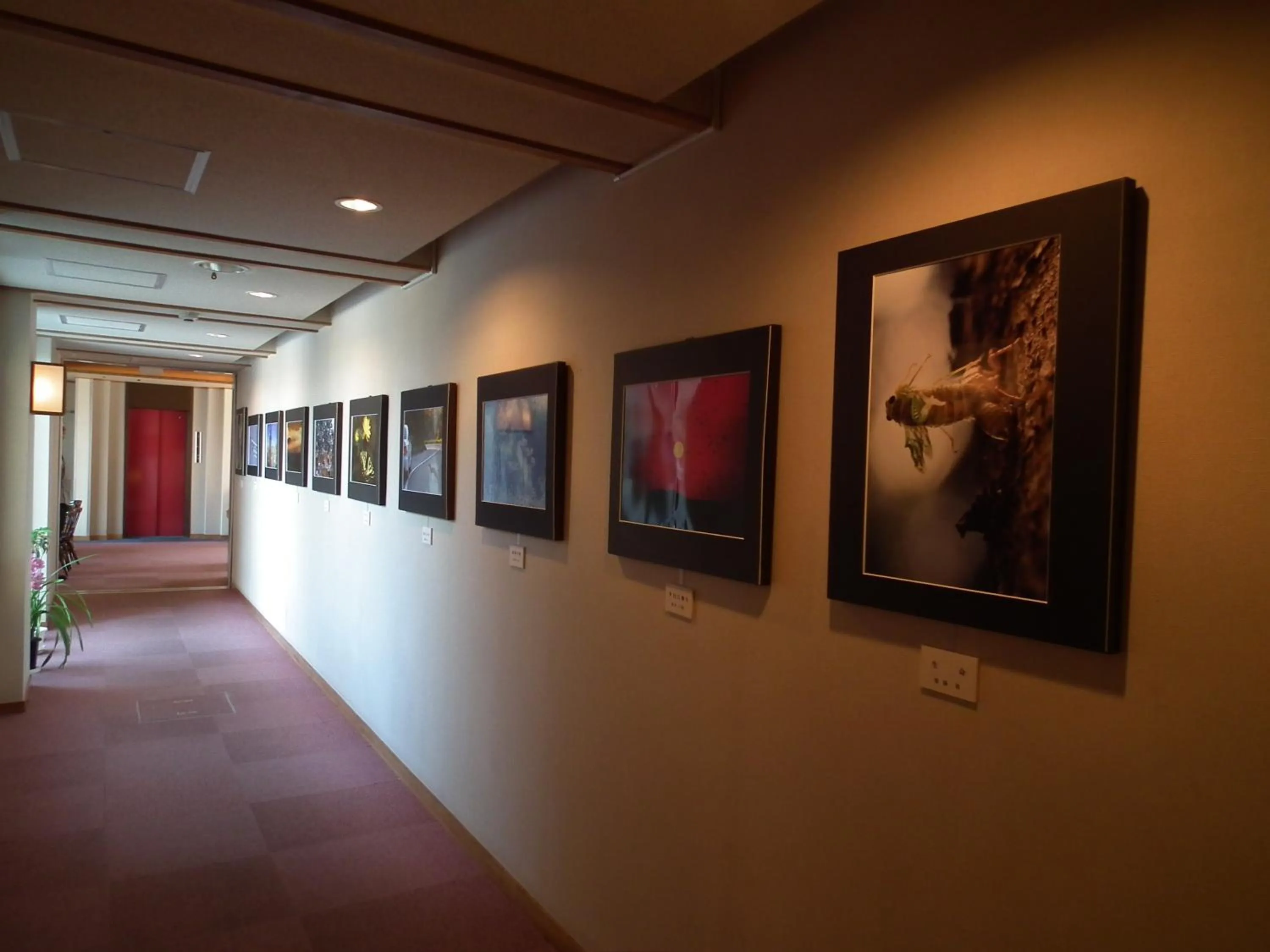 Decorative detail in Senshoen