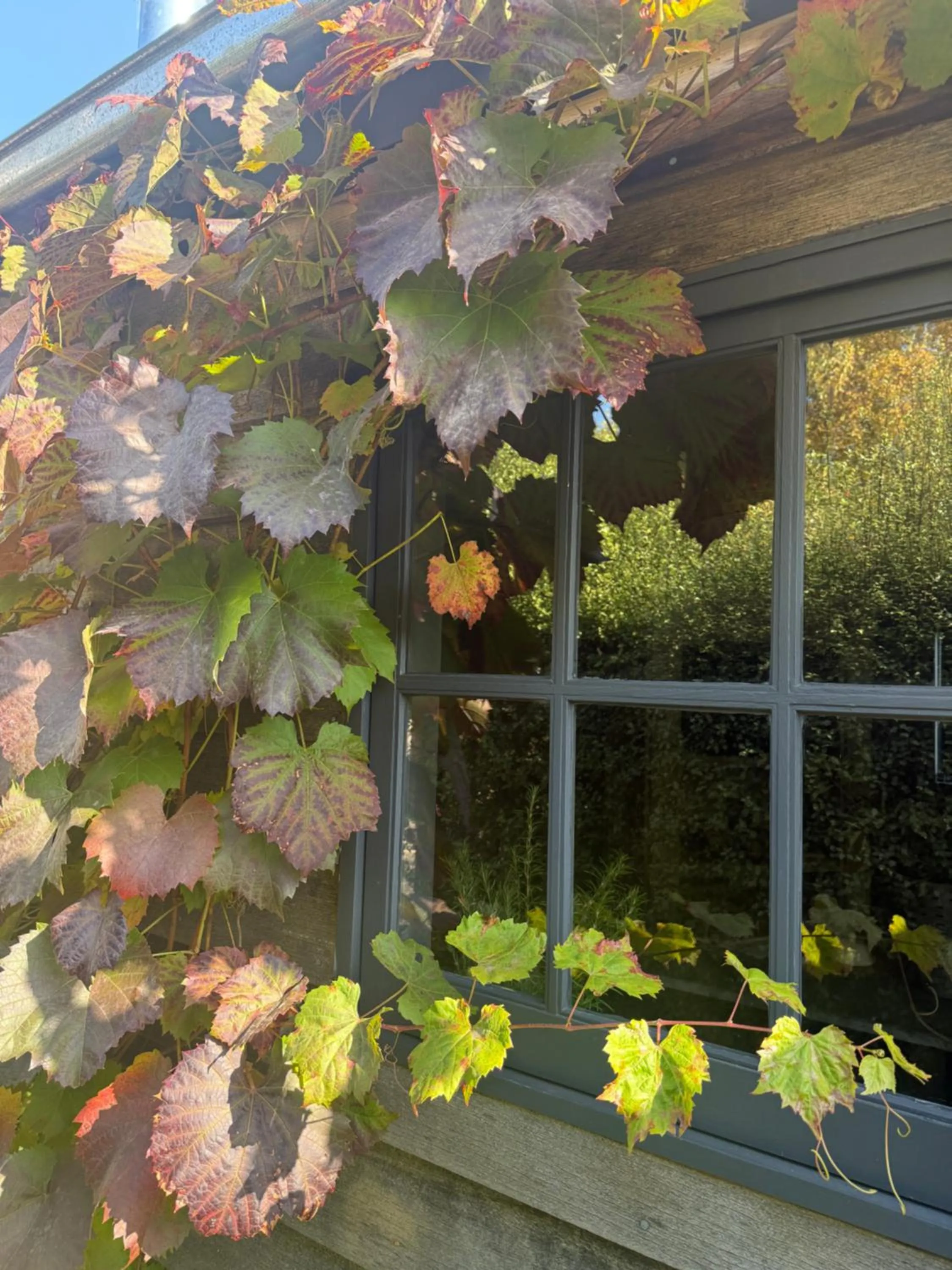 Property building in Elm Cottage Barn