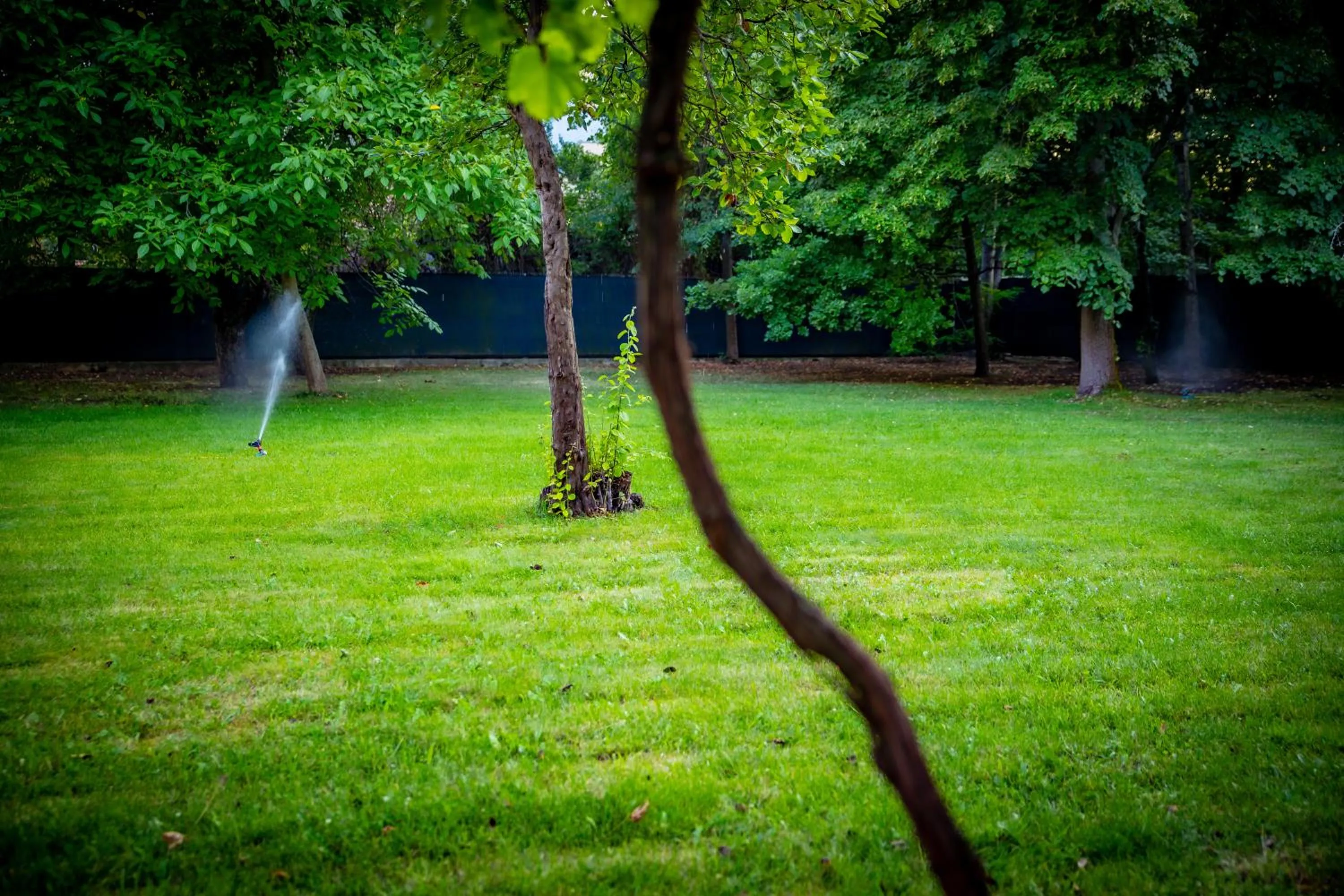 Spring in Hotel ZOO Sofia