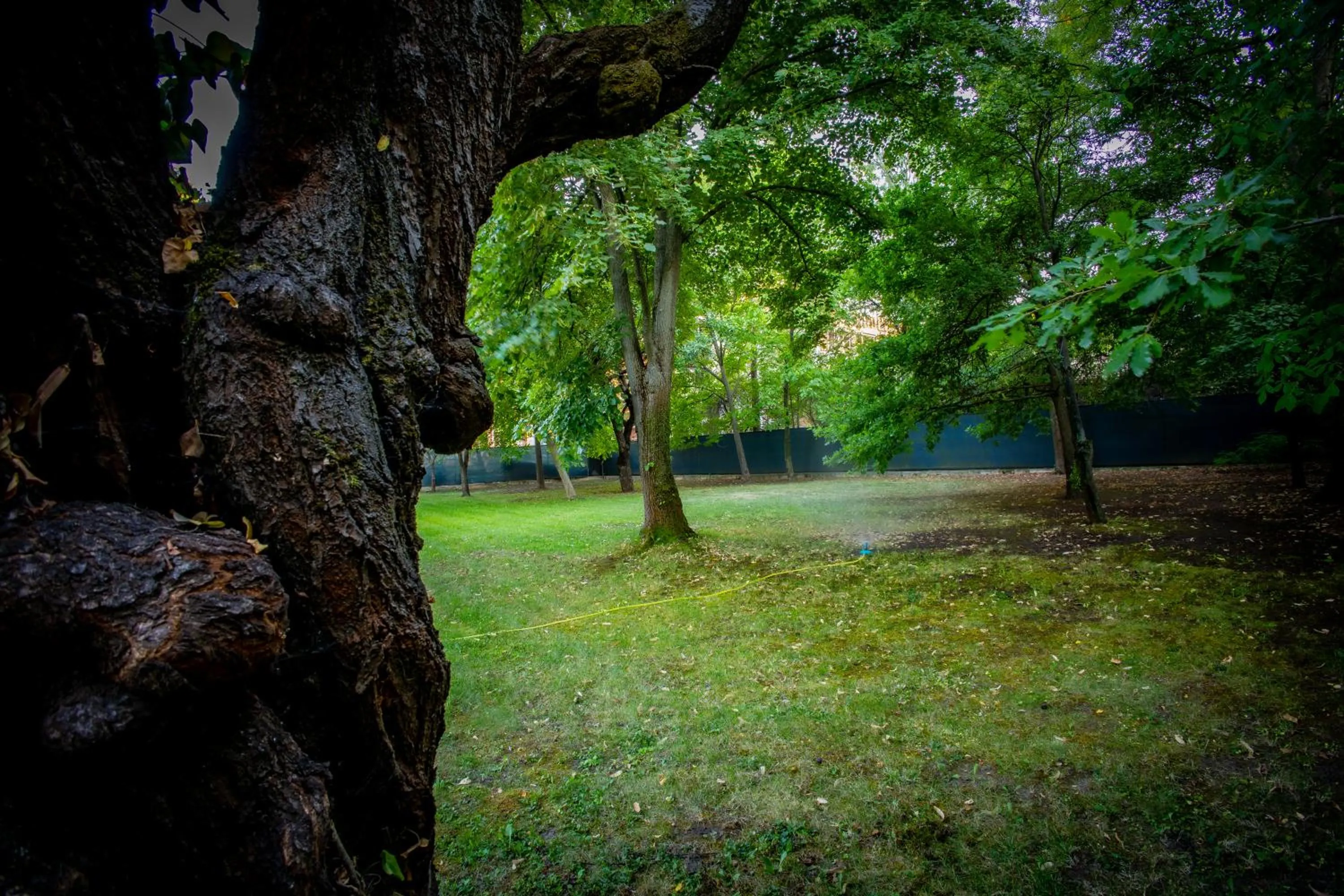 Spring in Hotel ZOO Sofia
