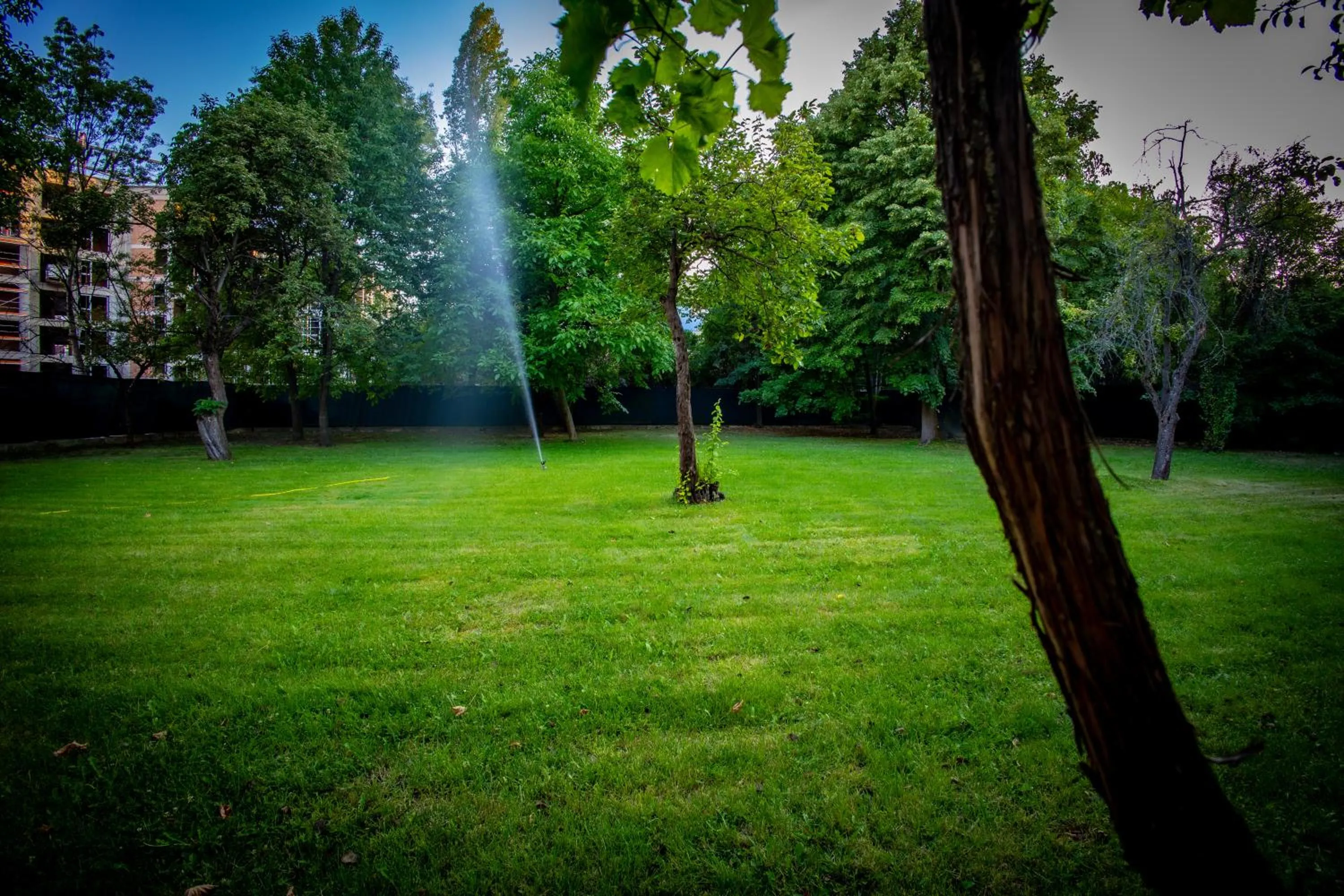 Spring in Hotel ZOO Sofia