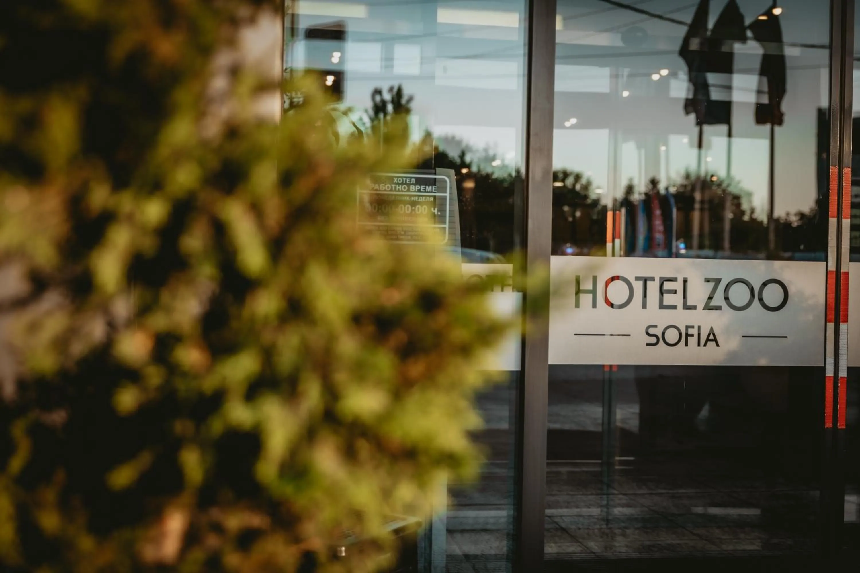 Day in Hotel ZOO Sofia