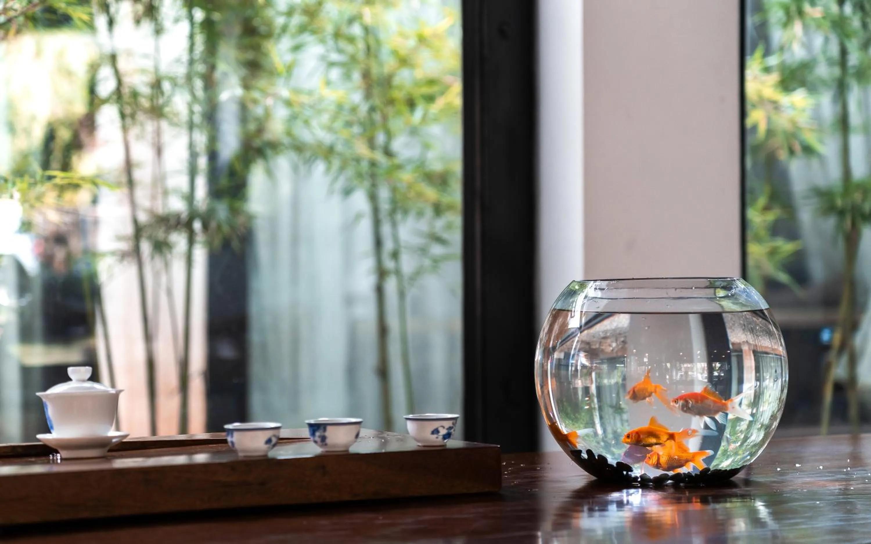 Coffee/tea facilities in Lijiang Gemmer Hotel
