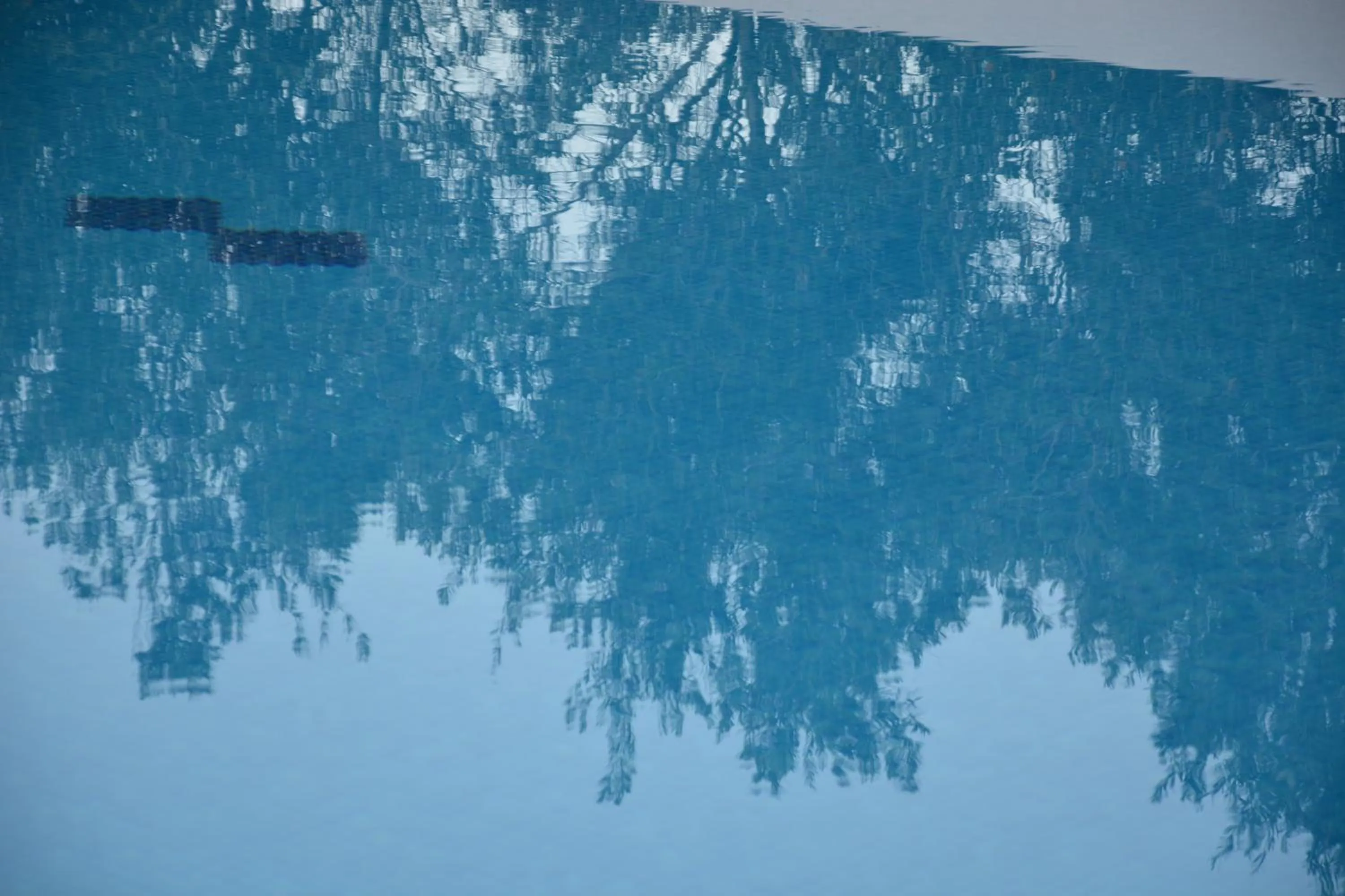 Primavera Paradise Apartments