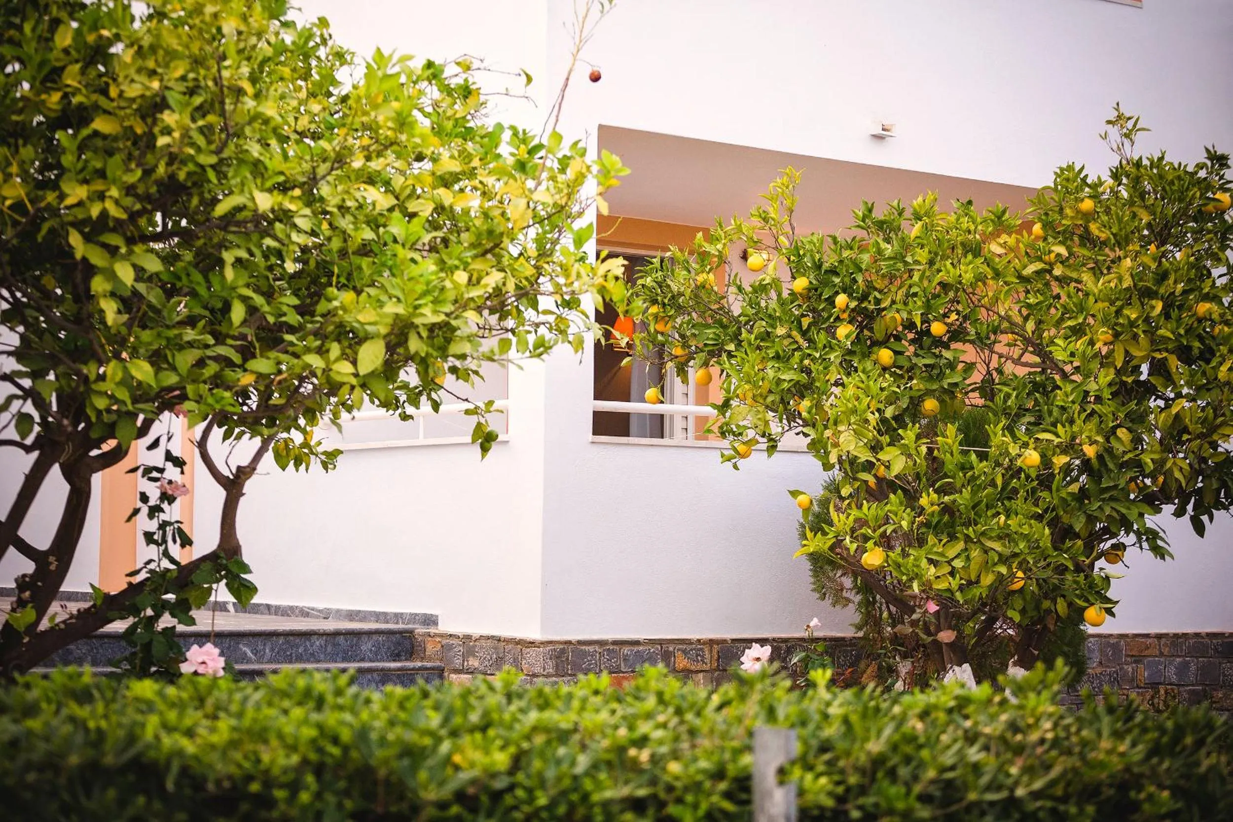 Garden in Primavera Paradise Apartments