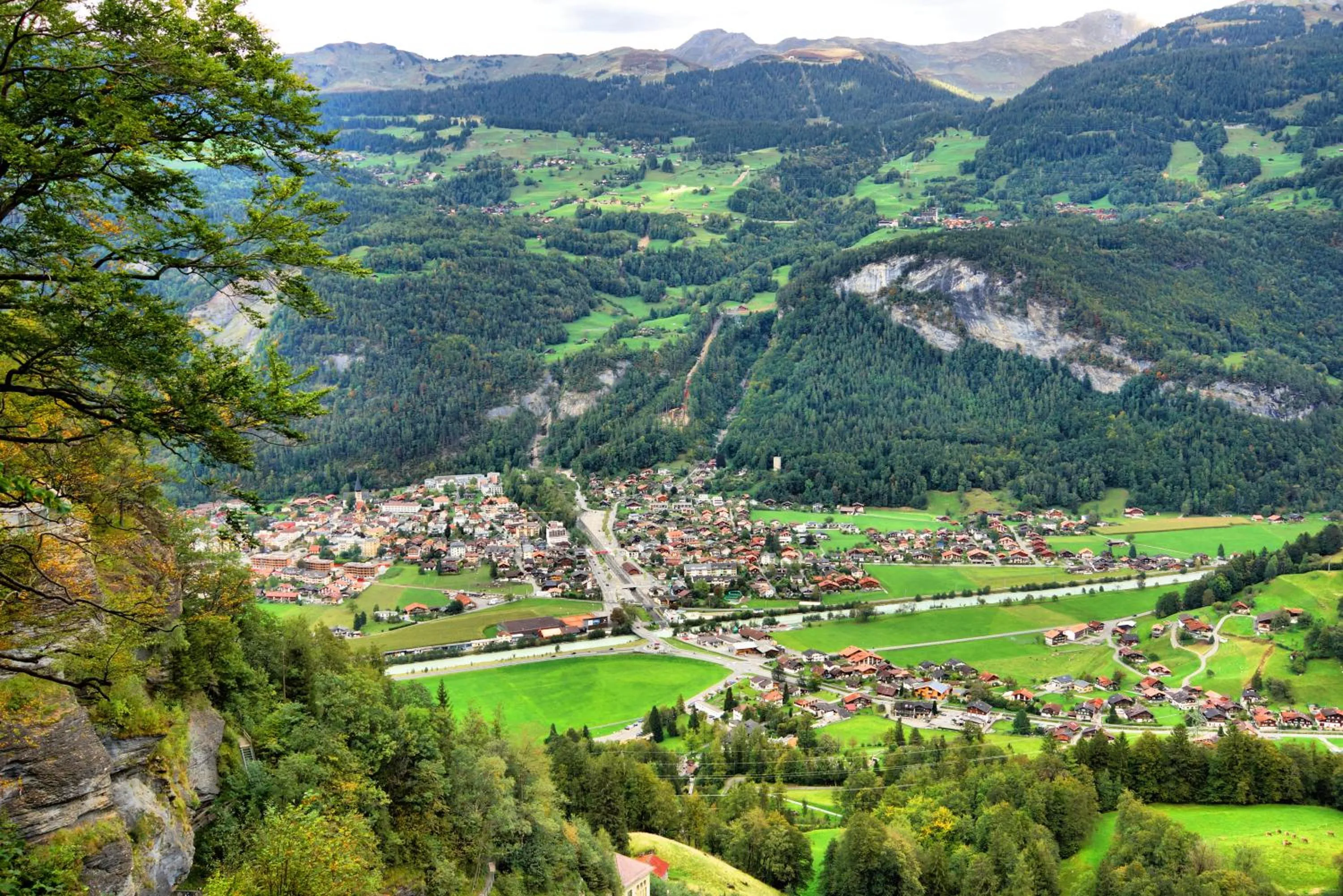 Natural landscape in Alpenrose