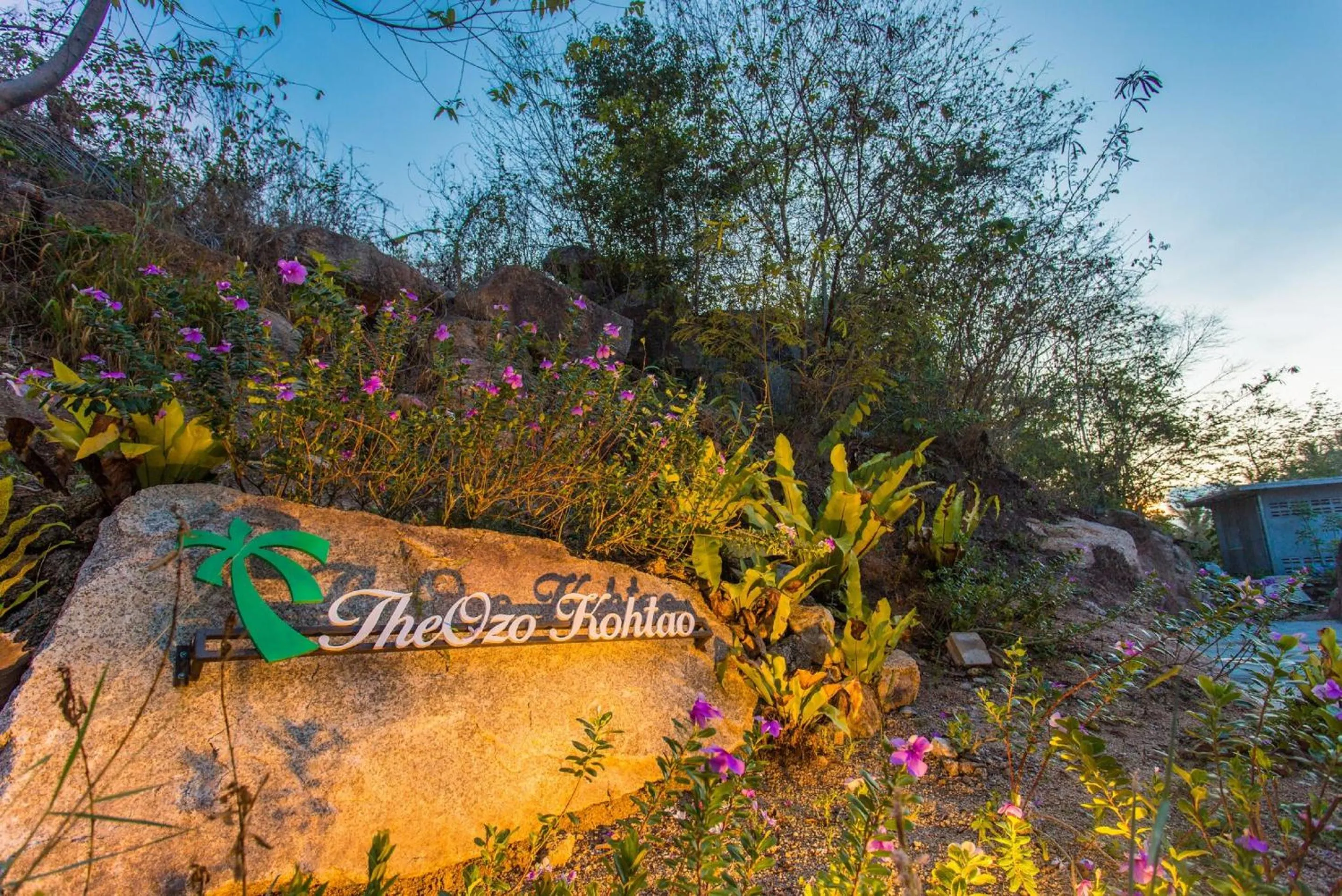 Logo/Certificate/Sign in The Ozo Kohtao