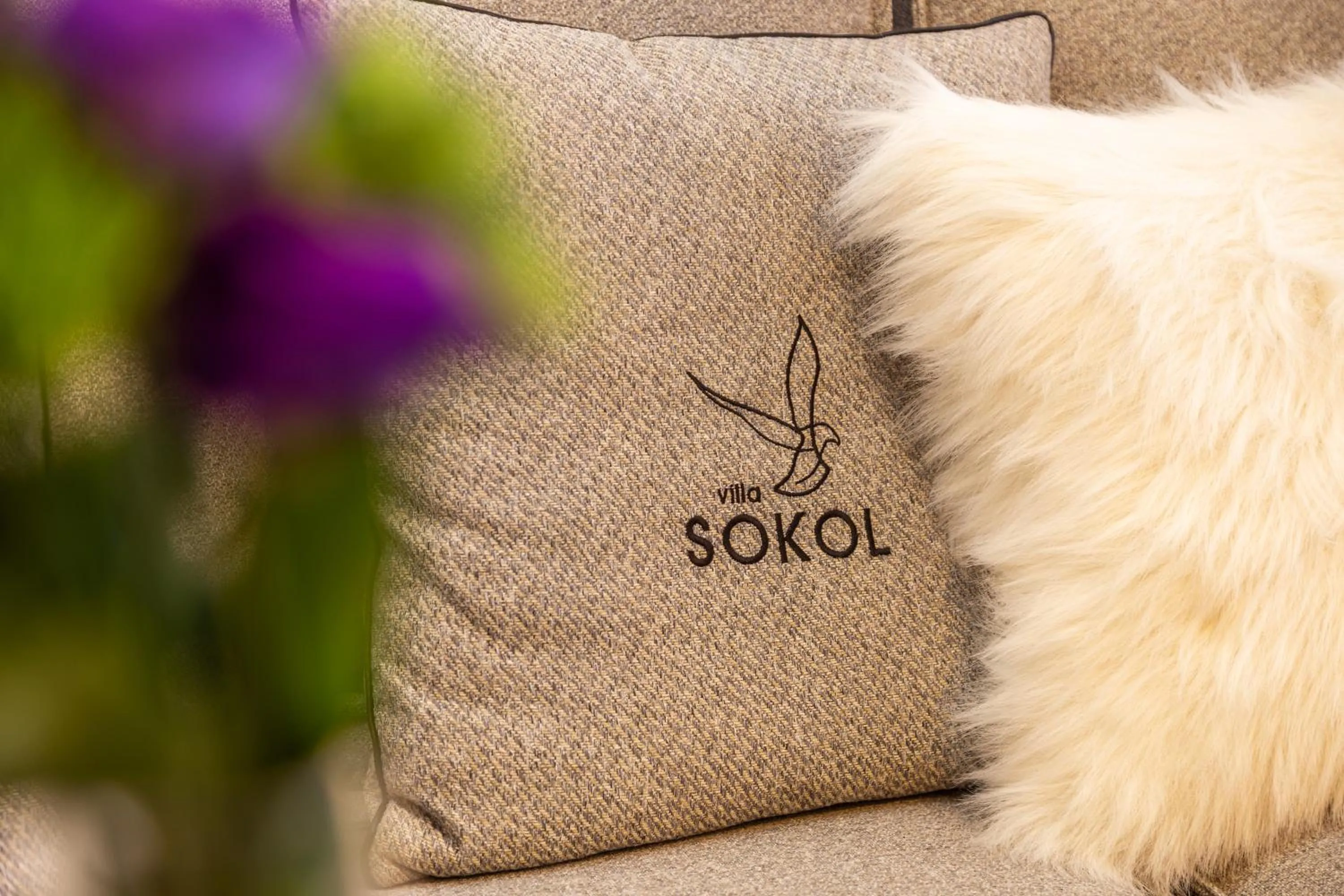 Property logo or sign in Villa Sokol