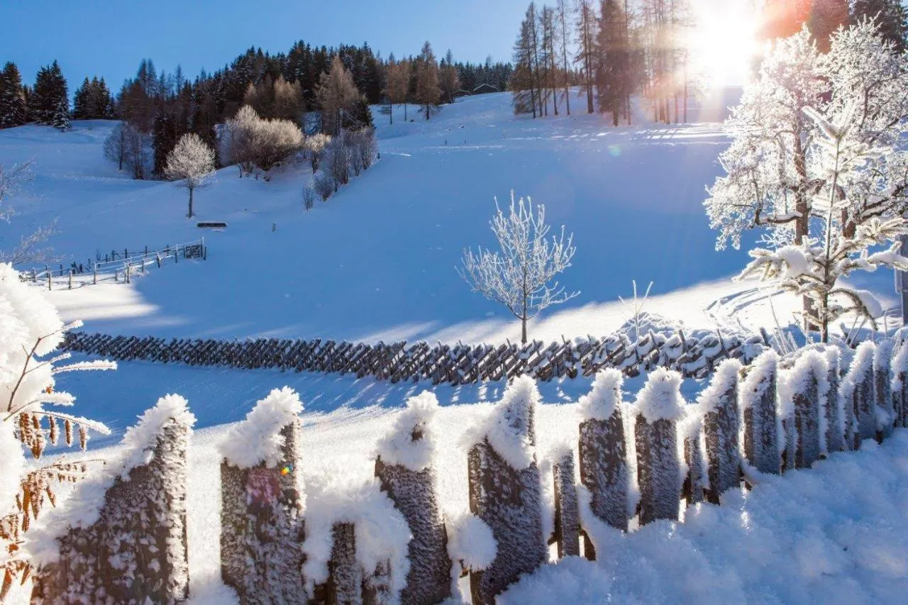 View (from property/room) in Ferienhof Oberreit