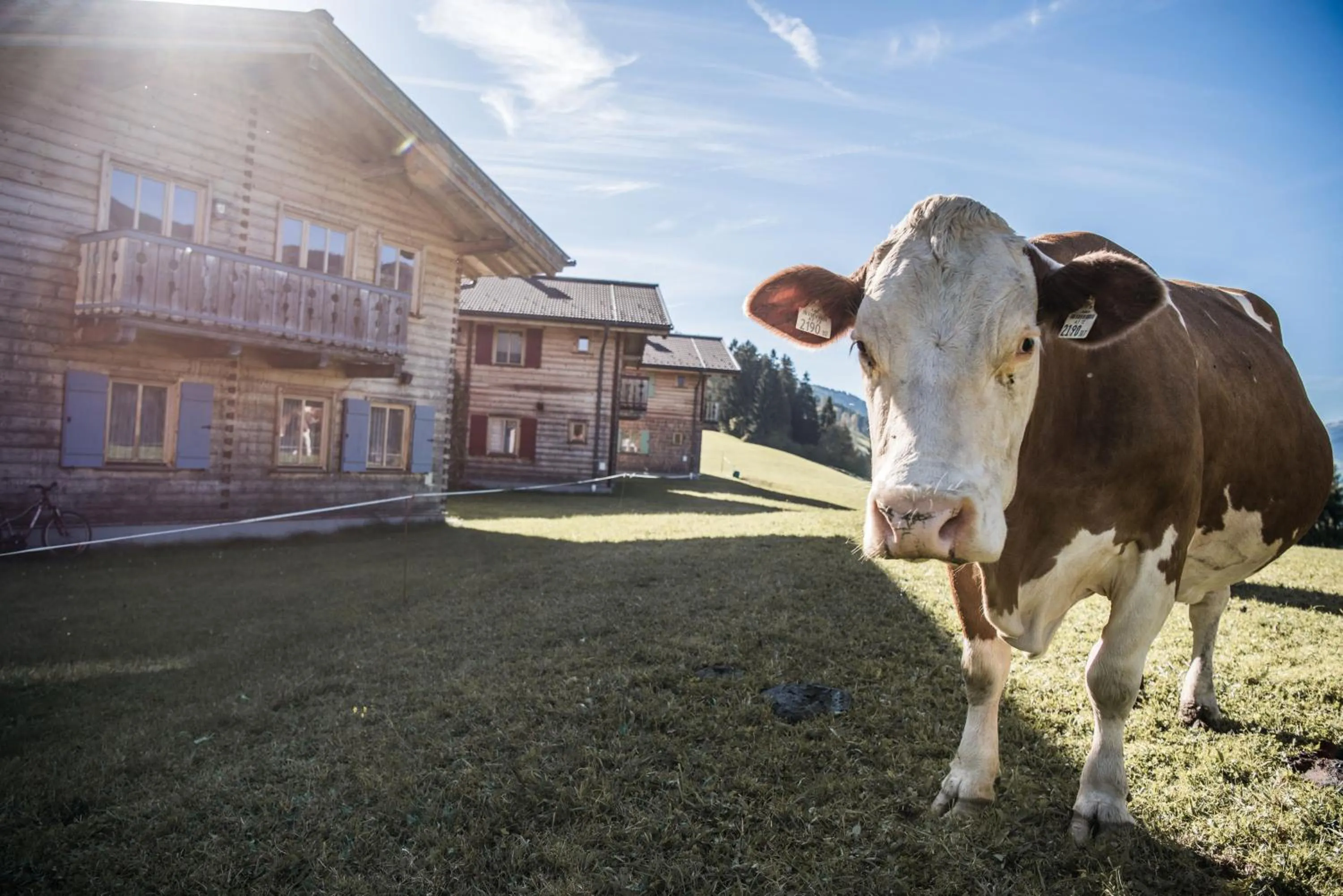 Neighbourhood in Ferienhof Oberreit