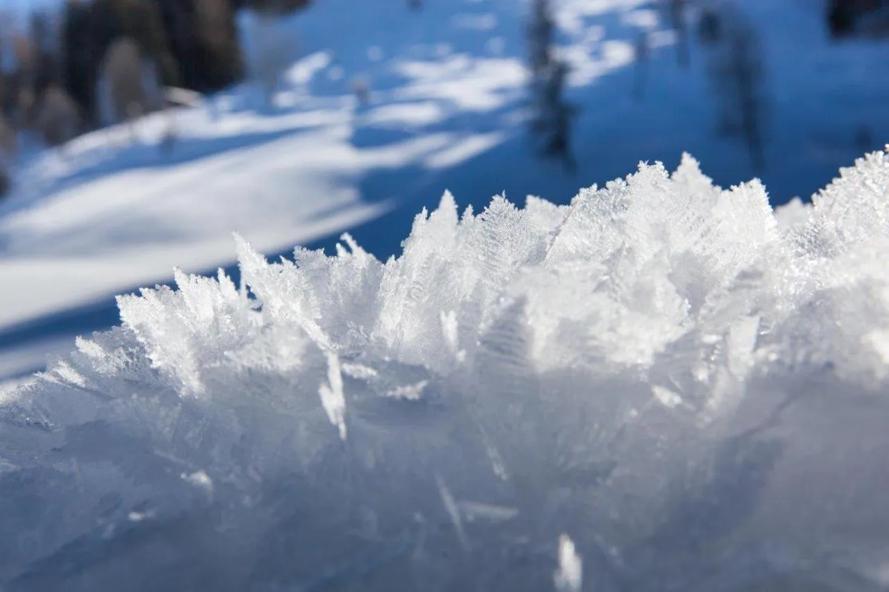 View (from property/room) in Ferienhof Oberreit