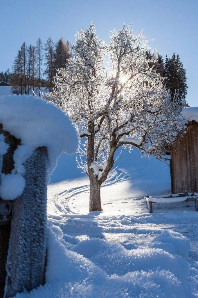 View (from property/room) in Ferienhof Oberreit