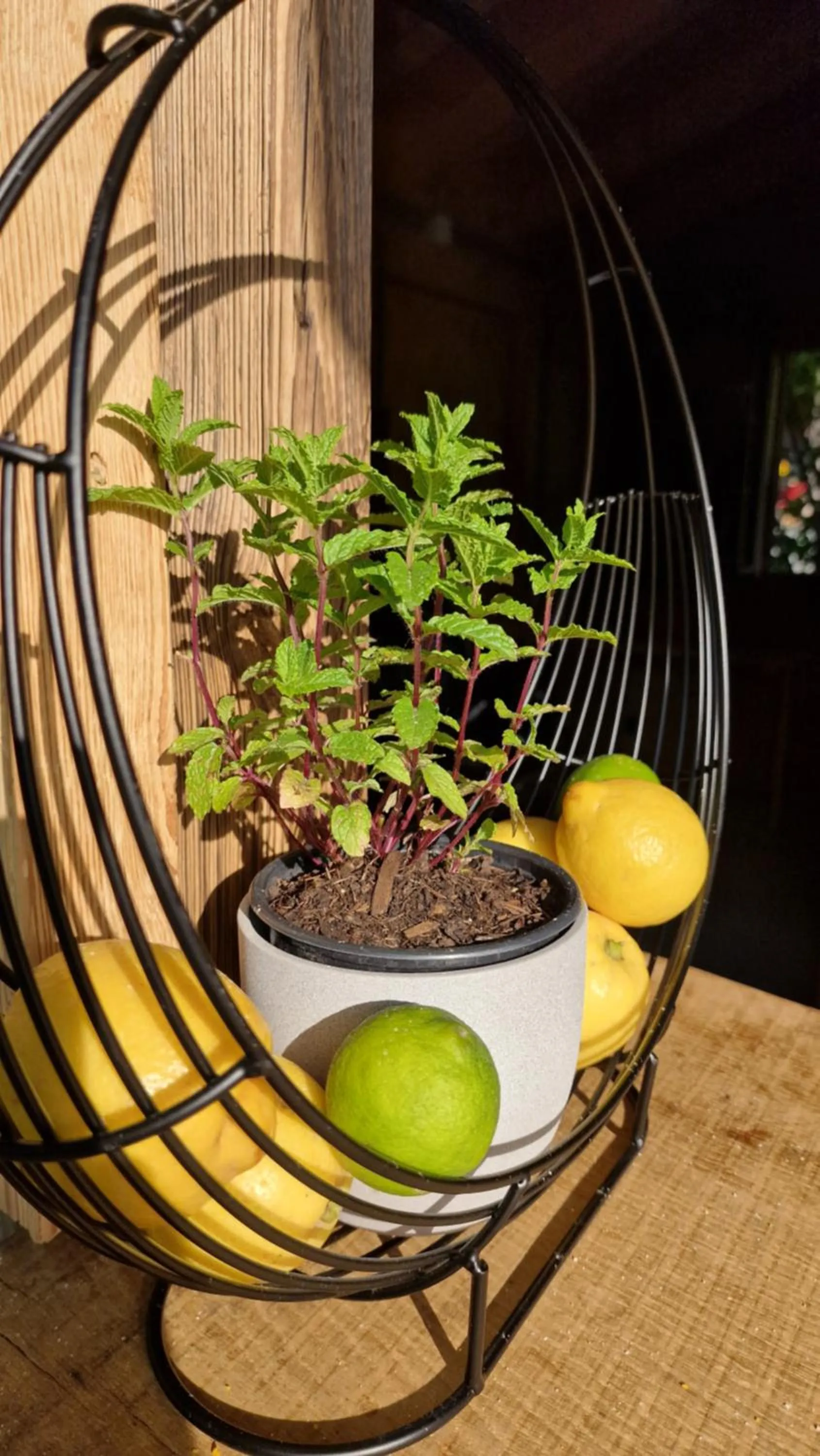 Dining area in Ferienhof Oberreit