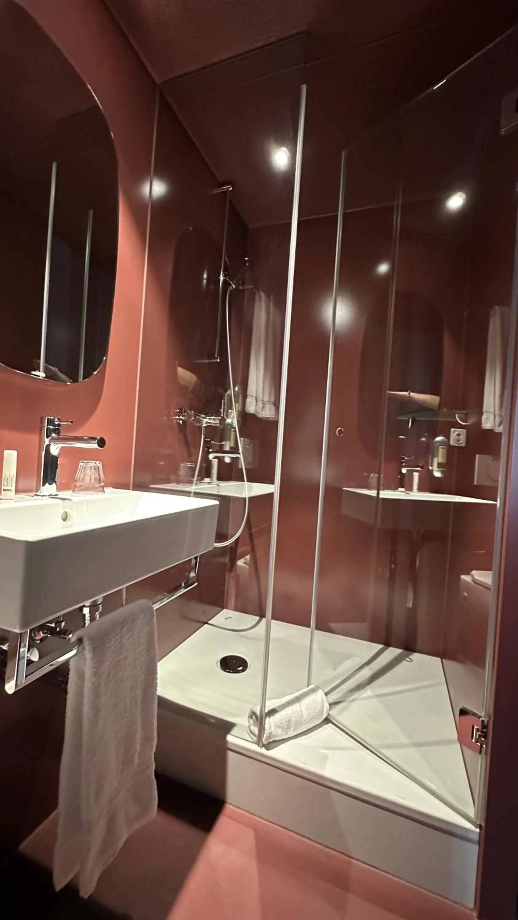 Shower in Hotel Emmental