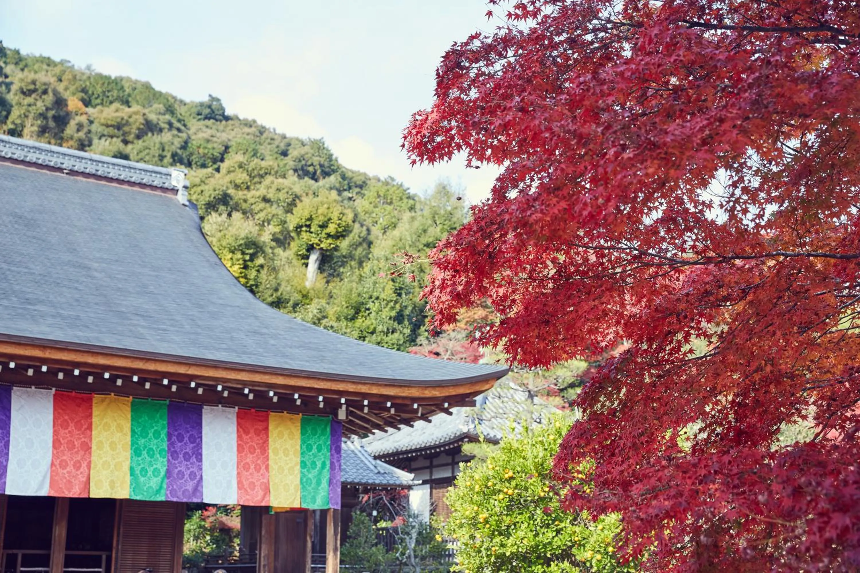 Nearby landmark in Riverside Arashiyama