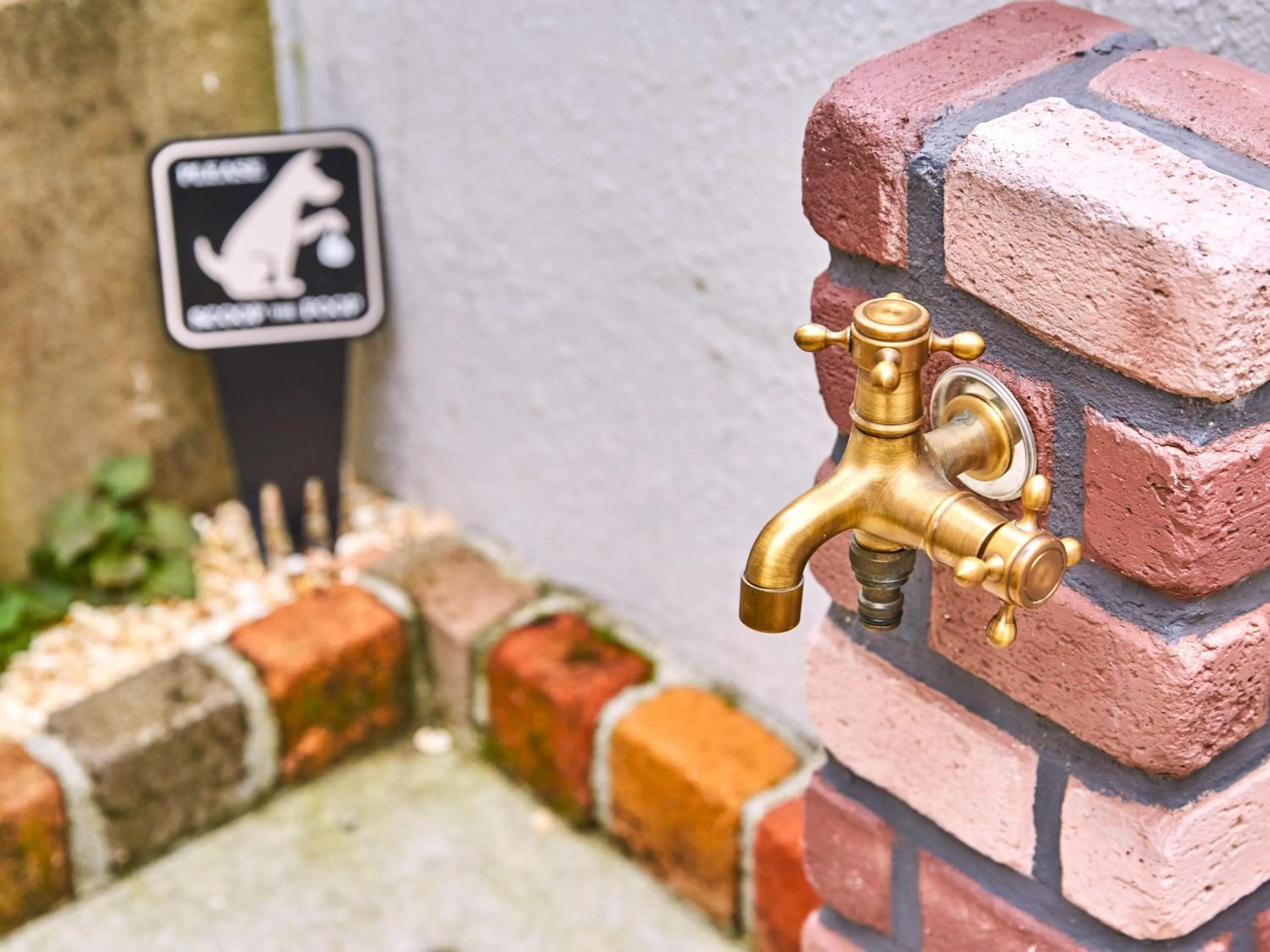 Pets in Riverside Arashiyama