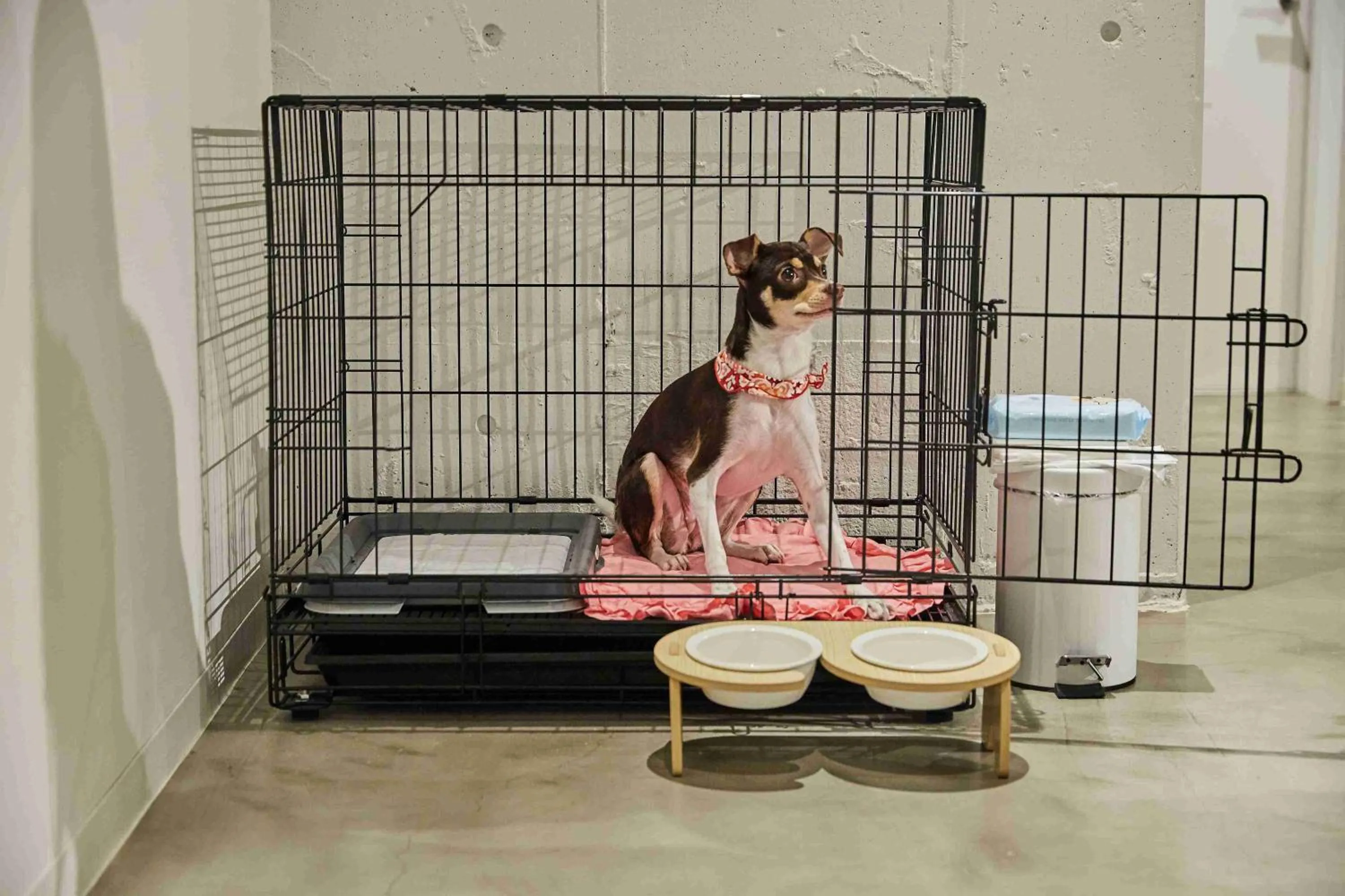 Riverside Arashiyama